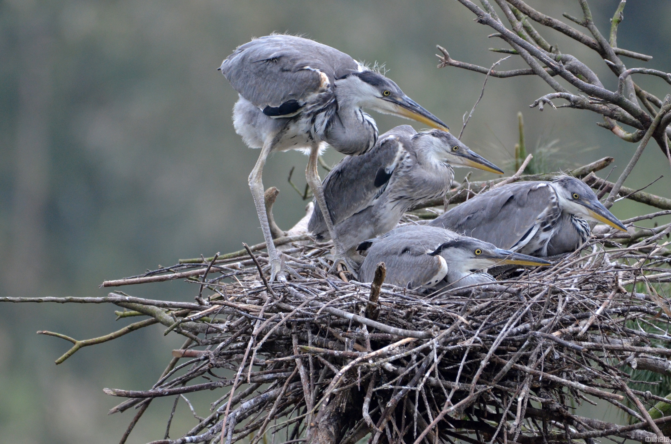 7497962045e5b552c5.jpg 7497962045e5b552c5.jpg