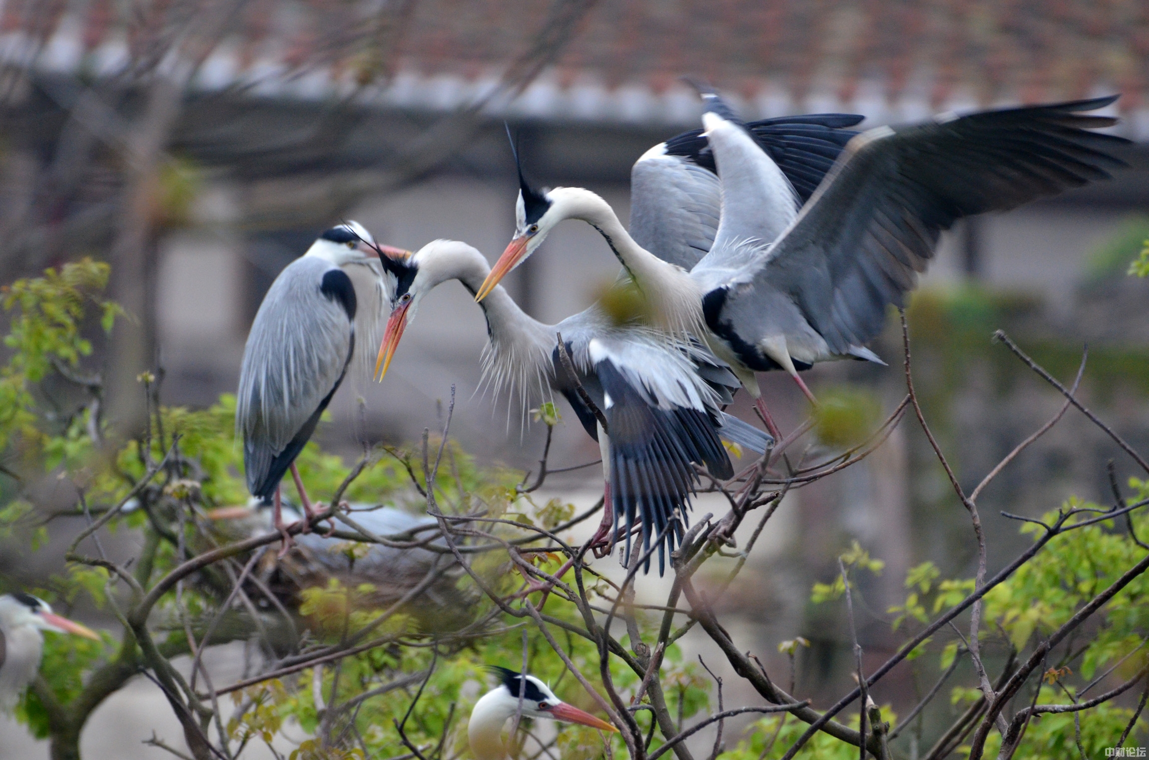 202506205f4da0a4ce.jpg 202506205f4da0a4ce.jpg