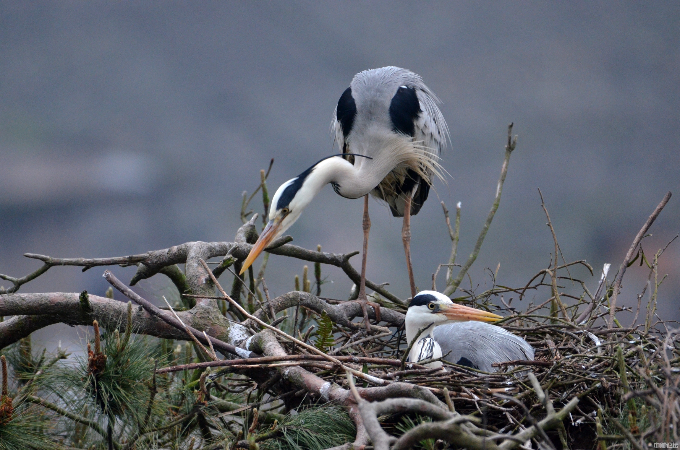 797906209a491e0e9d.jpg 797906209a491e0e9d.jpg