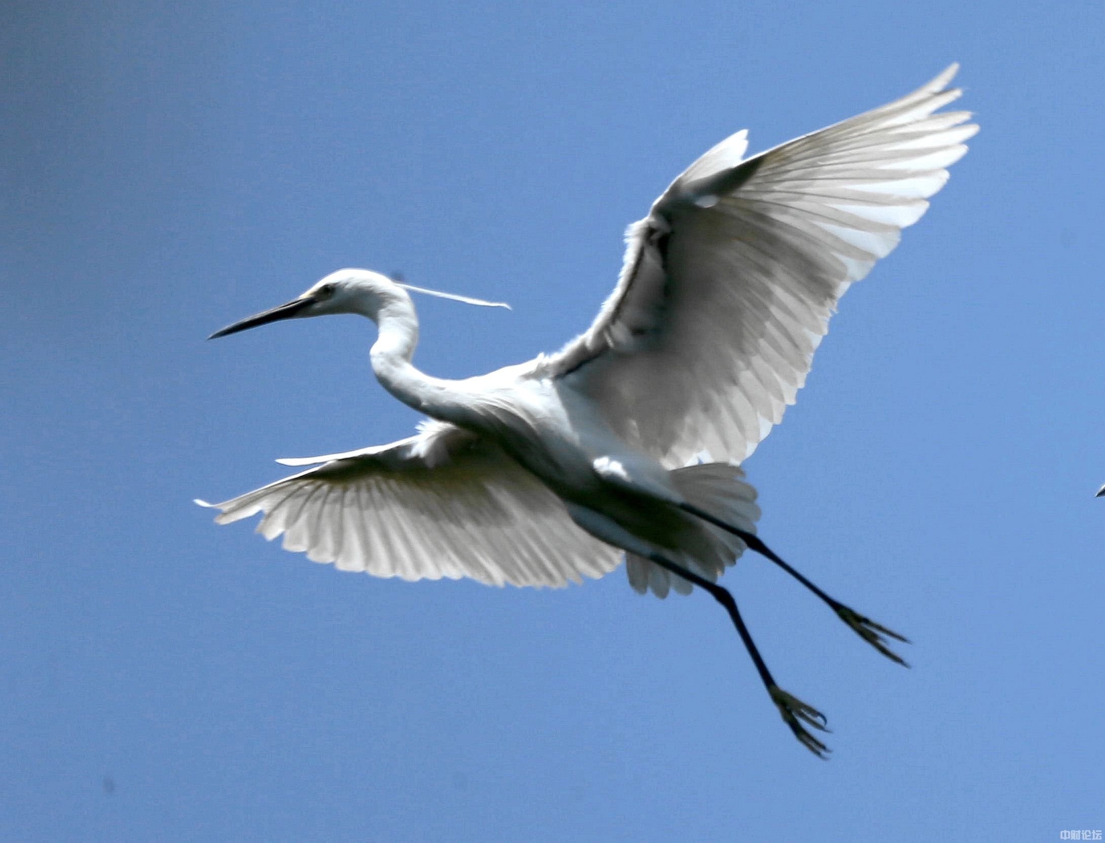 51397620d9f9a44b2e.jpg 51397620d9f9a44b2e.jpg