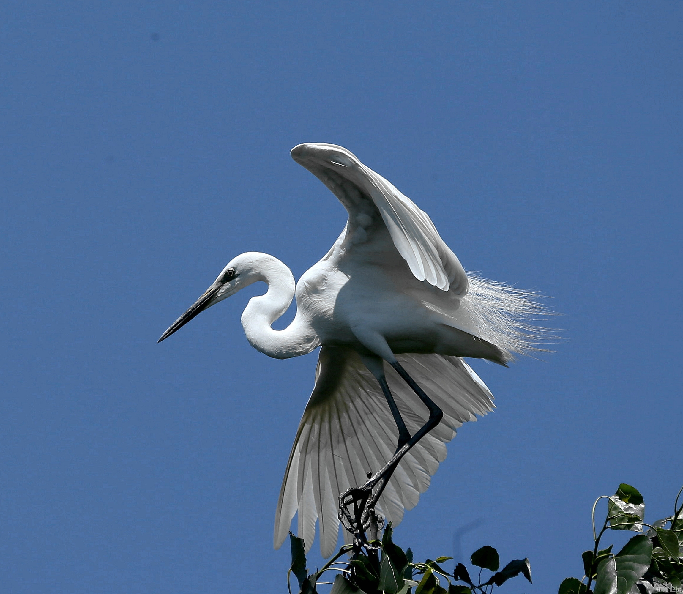 60060620ee929dfdfd.jpg 60060620ee929dfdfd.jpg