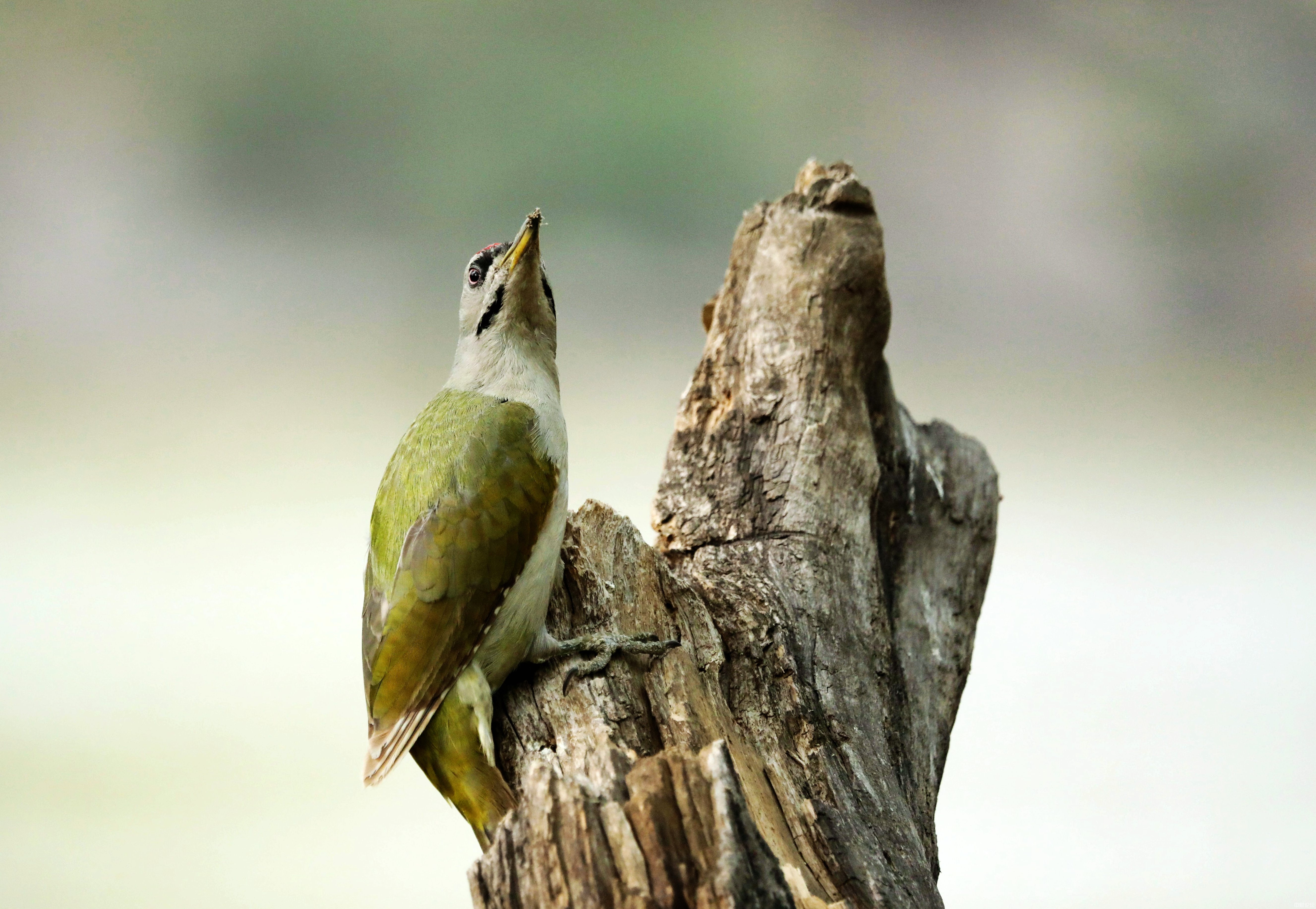 743956212f3f0354cb.jpg 743956212f3f0354cb.jpg