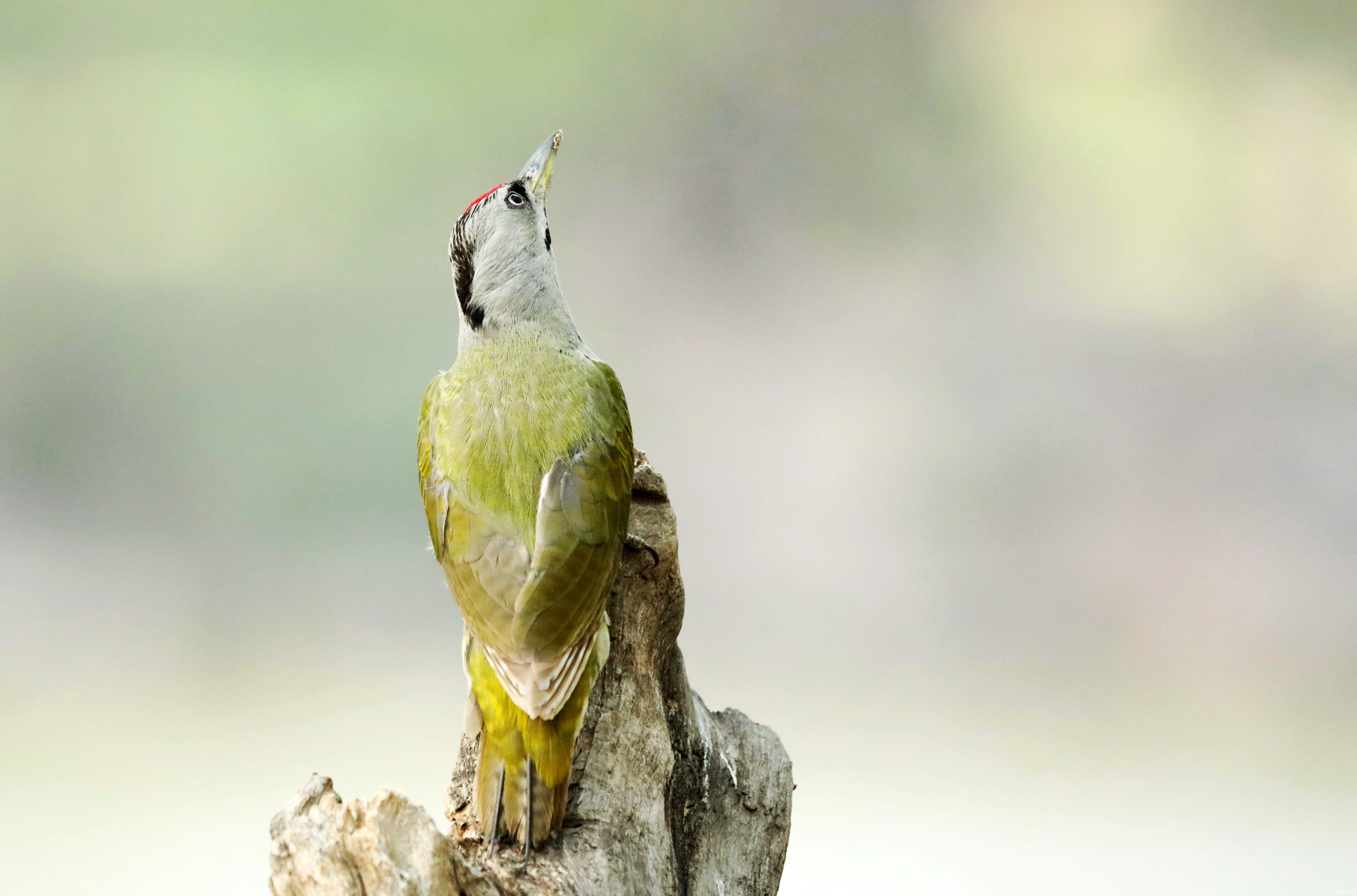 7690862142ff3ad503.jpg 7690862142ff3ad503.jpg