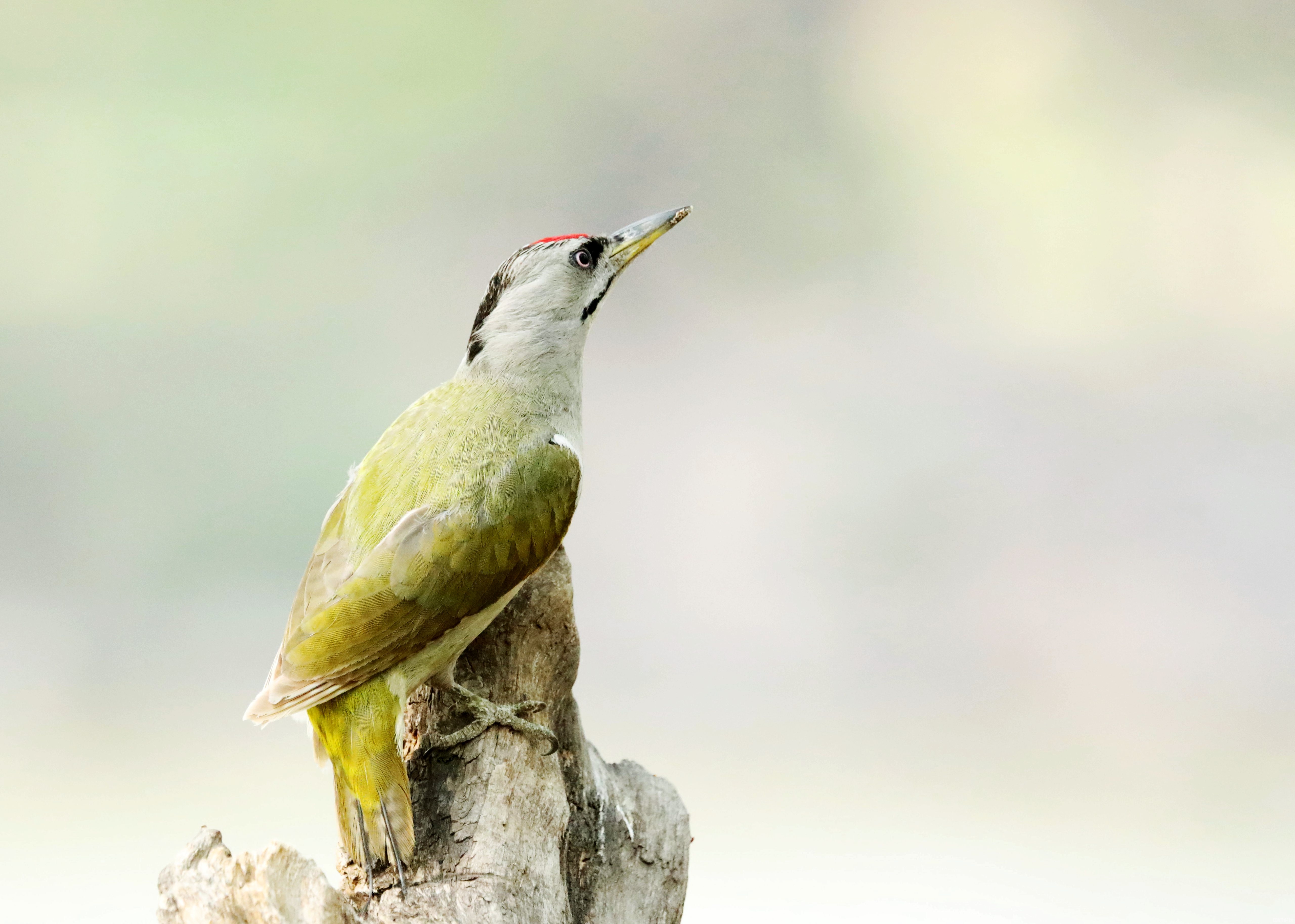 304136216d6d71c774.jpg 304136216d6d71c774.jpg