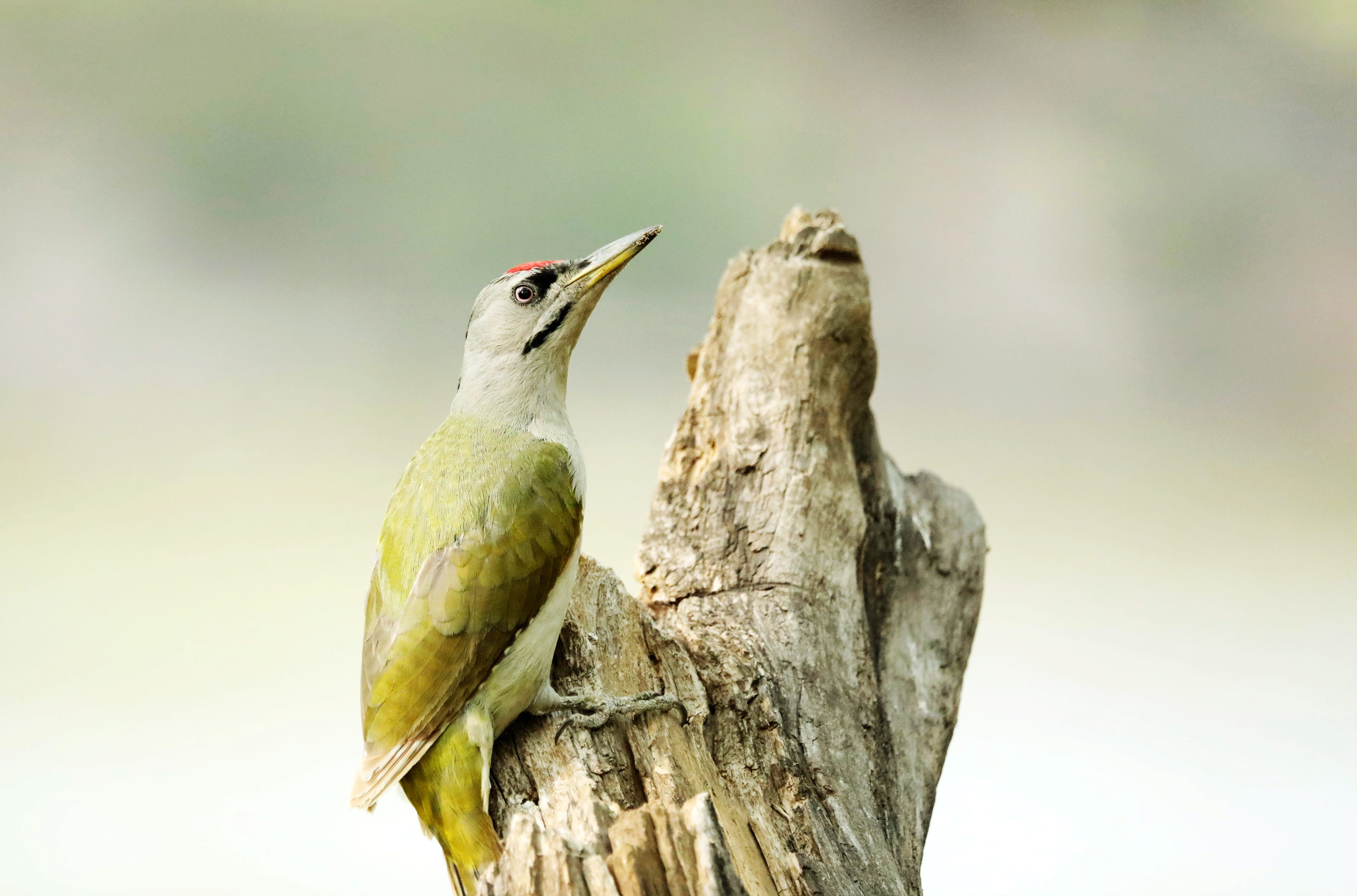 66648621d6a0cc1a9f.jpg 66648621d6a0cc1a9f.jpg