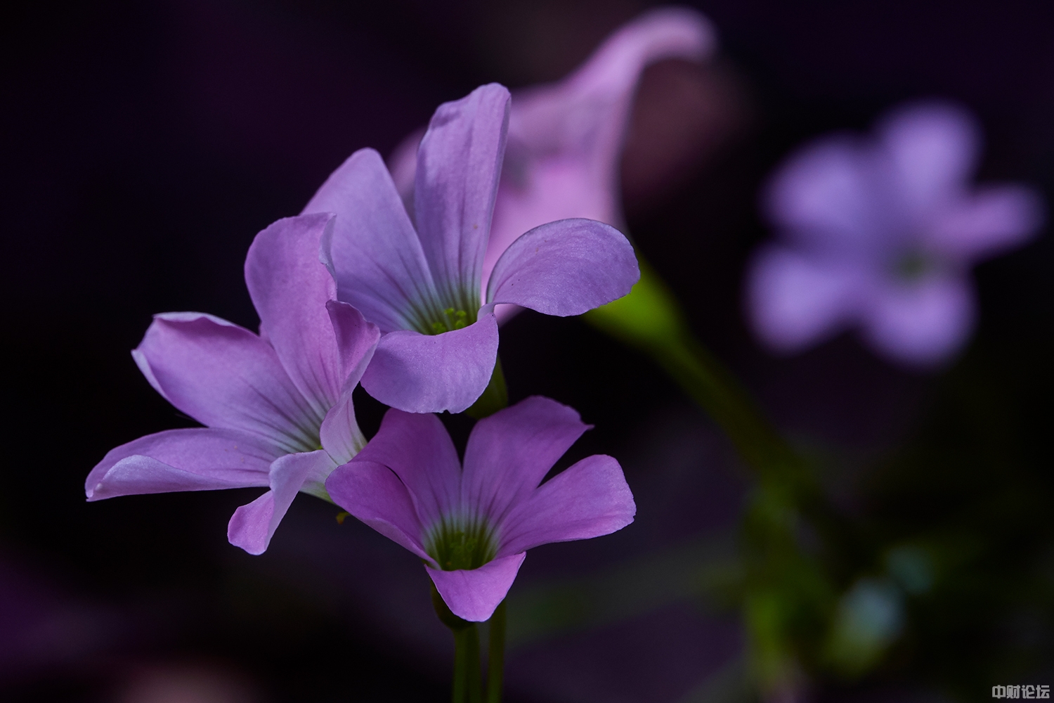 770706221619a005c0.jpg 770706221619a005c0.jpg