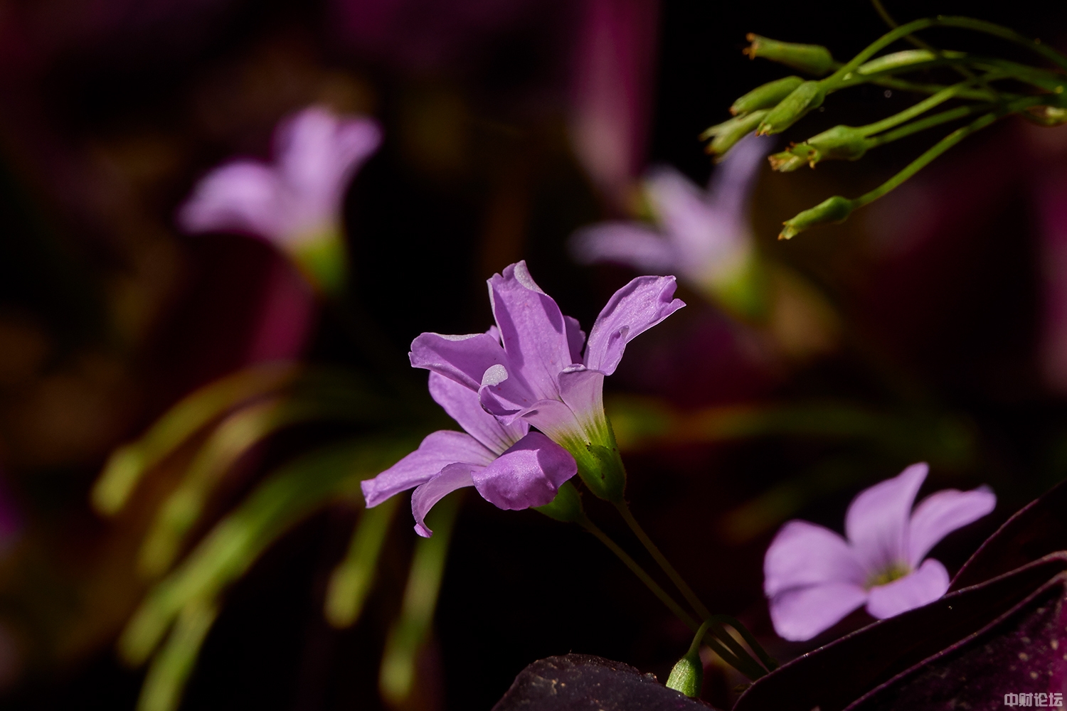 281606227f5a04dc5c.jpg 281606227f5a04dc5c.jpg