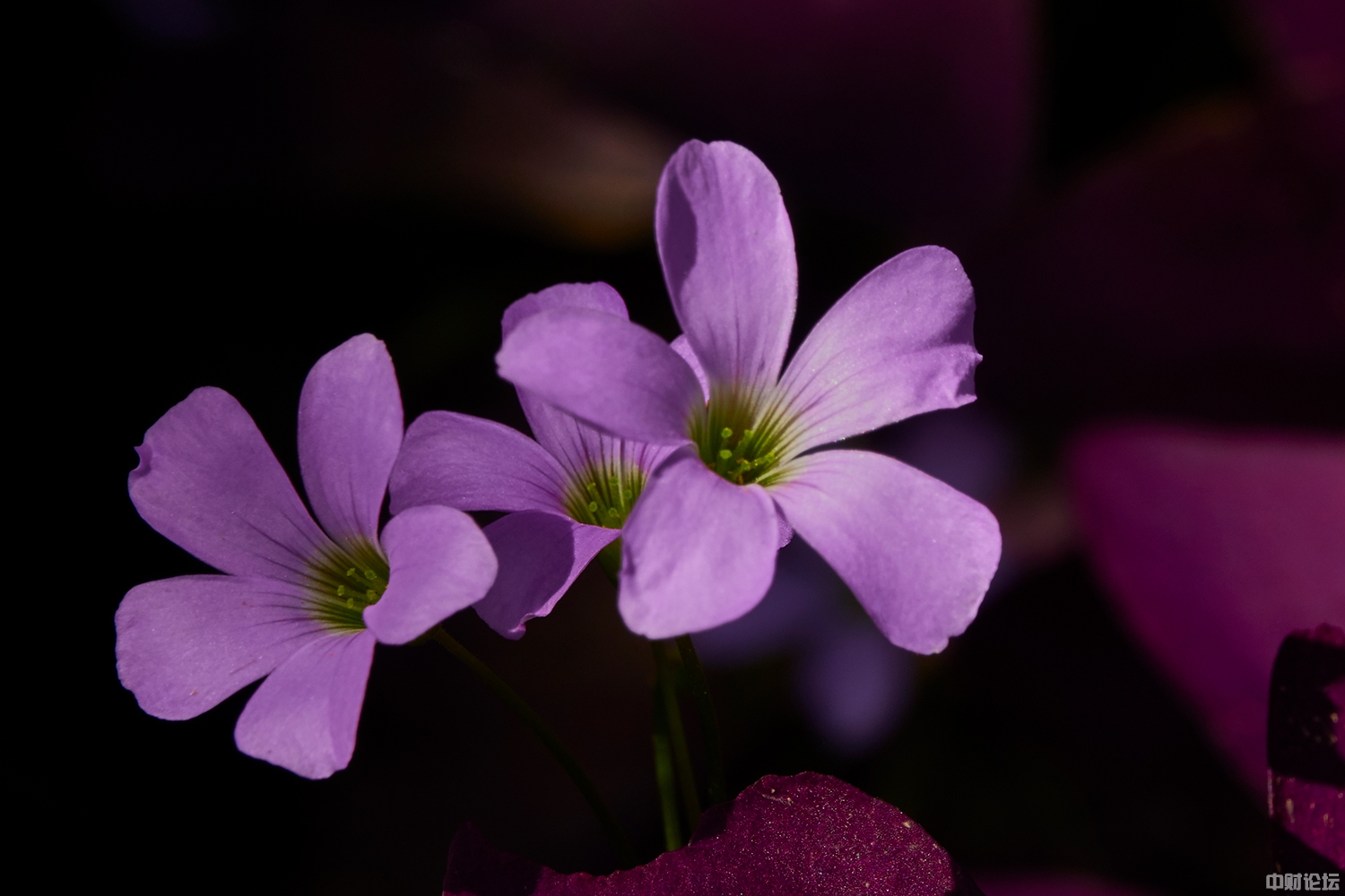 32628622a9973b6d3d.jpg 32628622a9973b6d3d.jpg