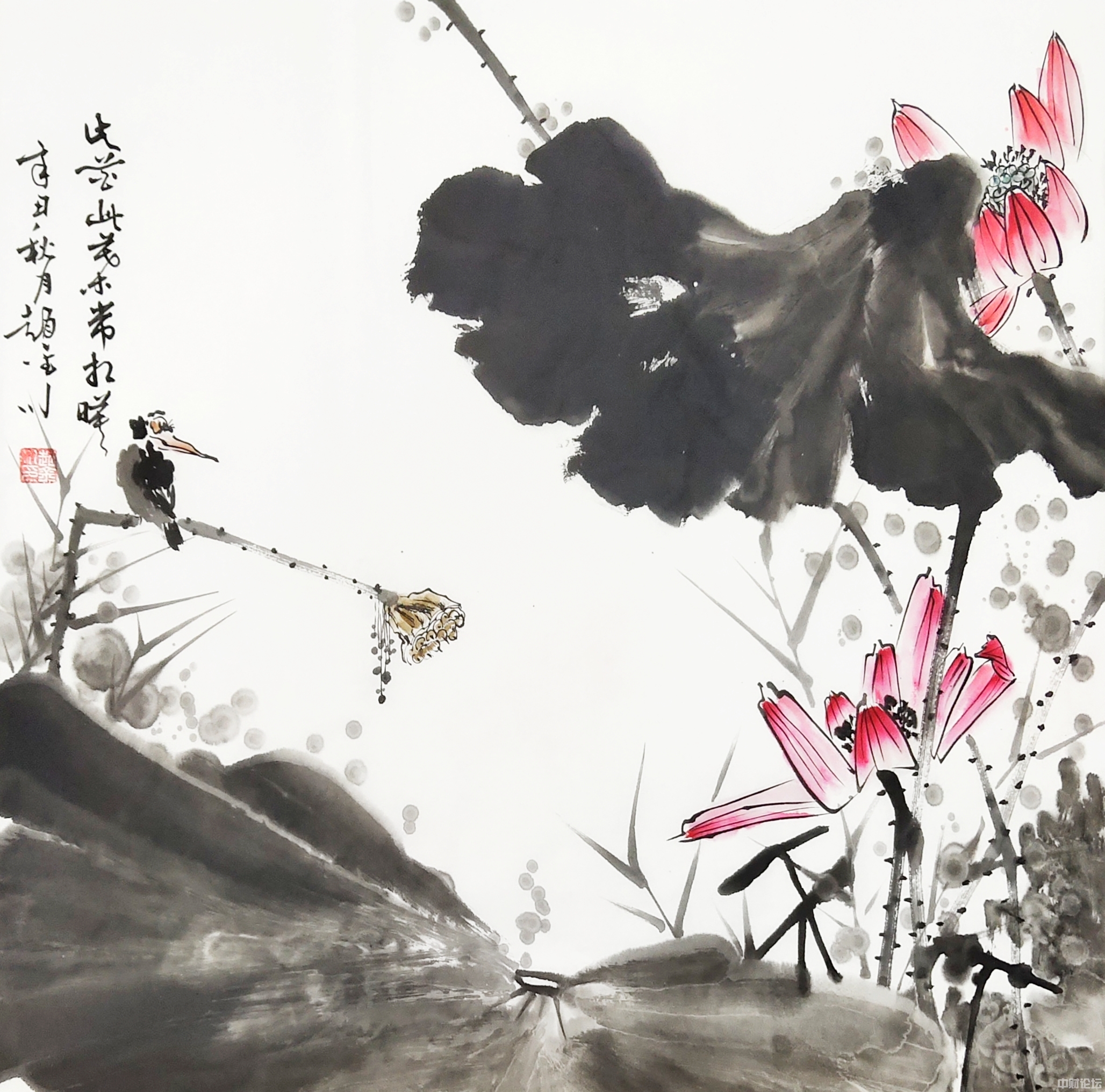 10423623bbda475202.jpg 10423623bbda475202.jpg