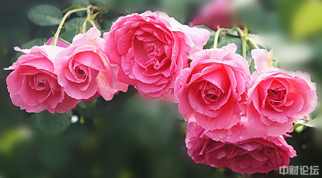 188986275bdca0158c.jpg 188986275bdca0158c.jpg