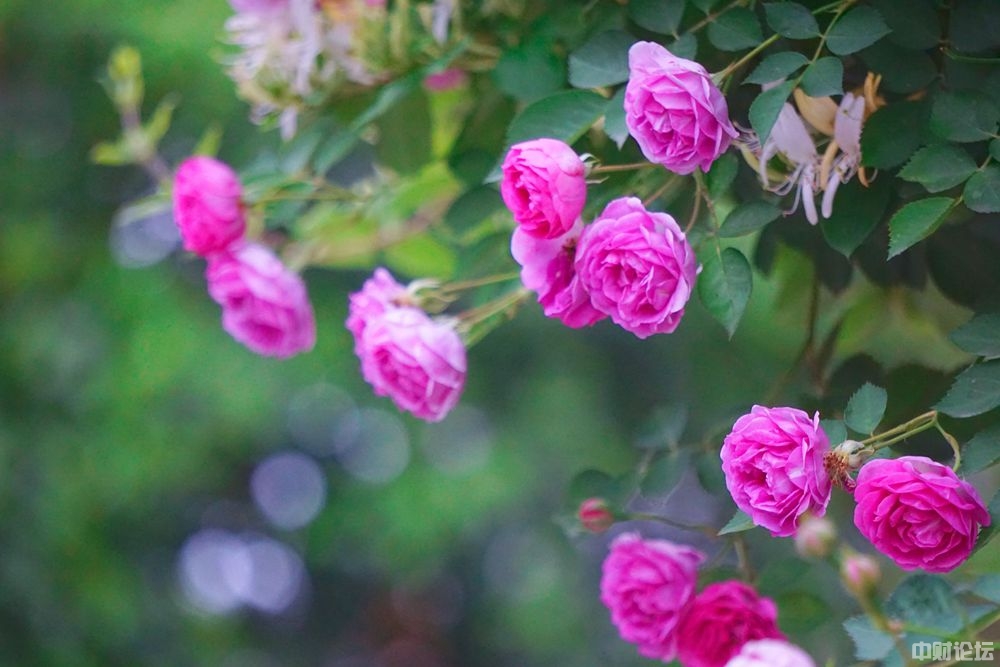 90648627b105a85336.jpg 90648627b105a85336.jpg