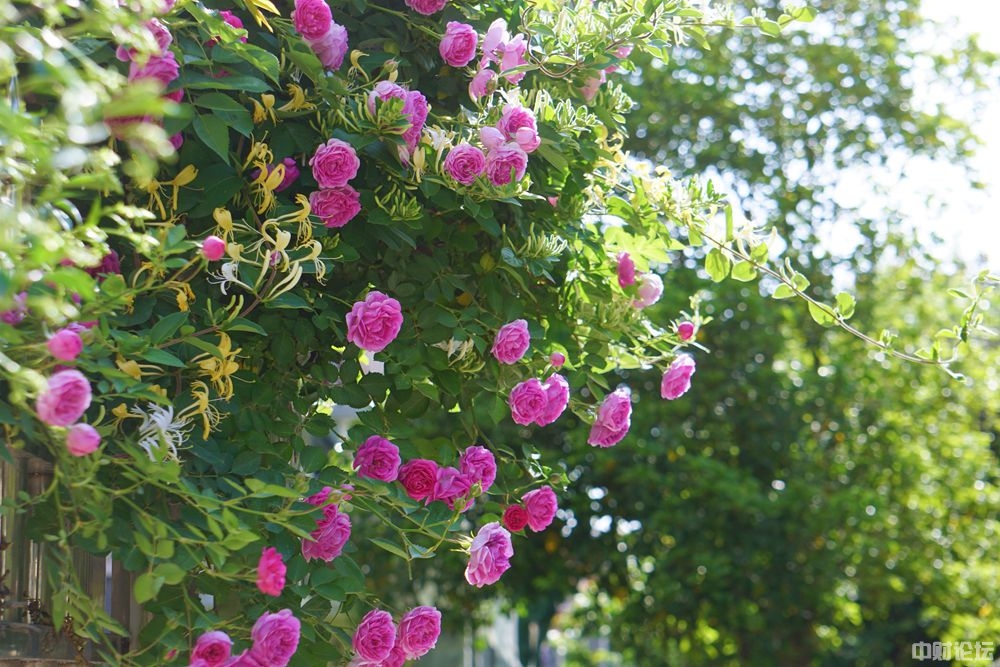 9014162819e4f487b3.jpg 9014162819e4f487b3.jpg