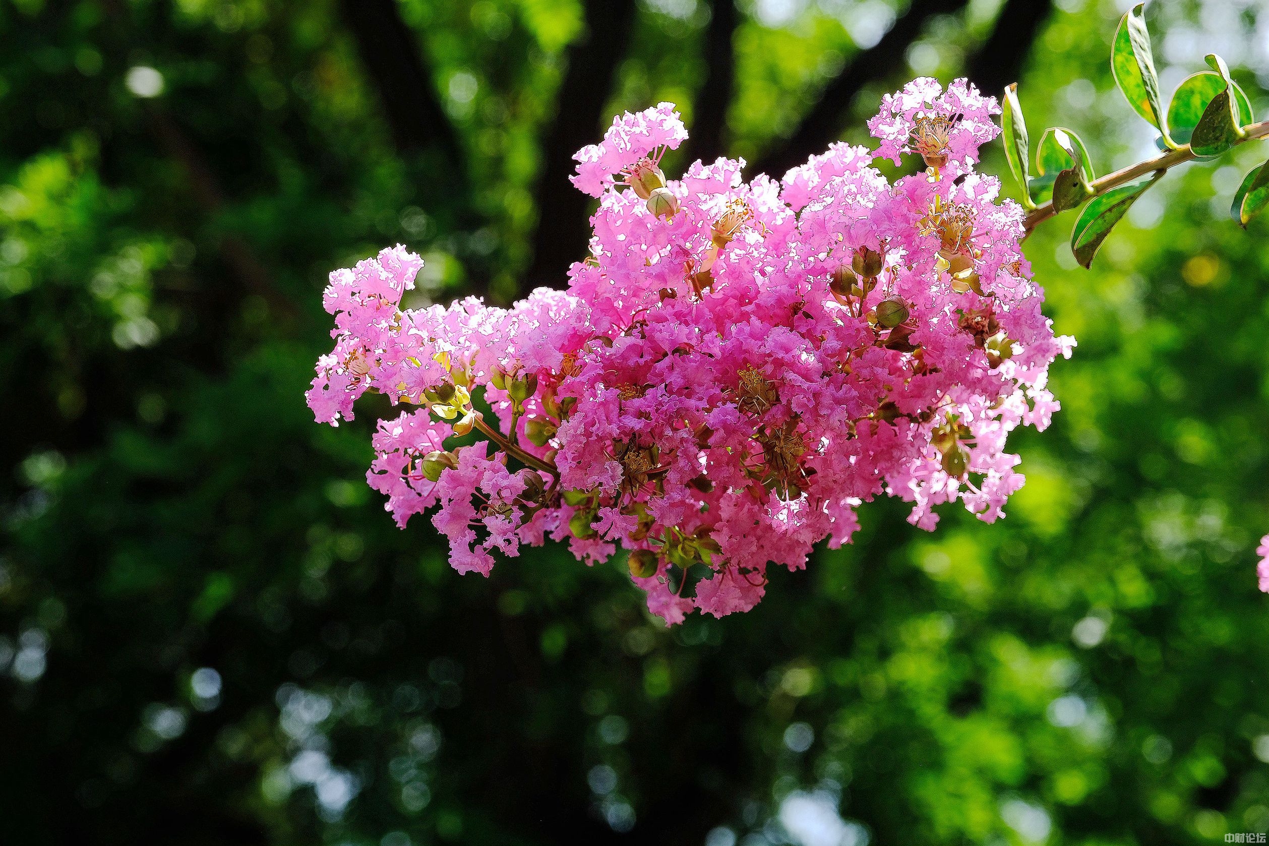 209826282f4a70a81c.jpg 209826282f4a70a81c.jpg