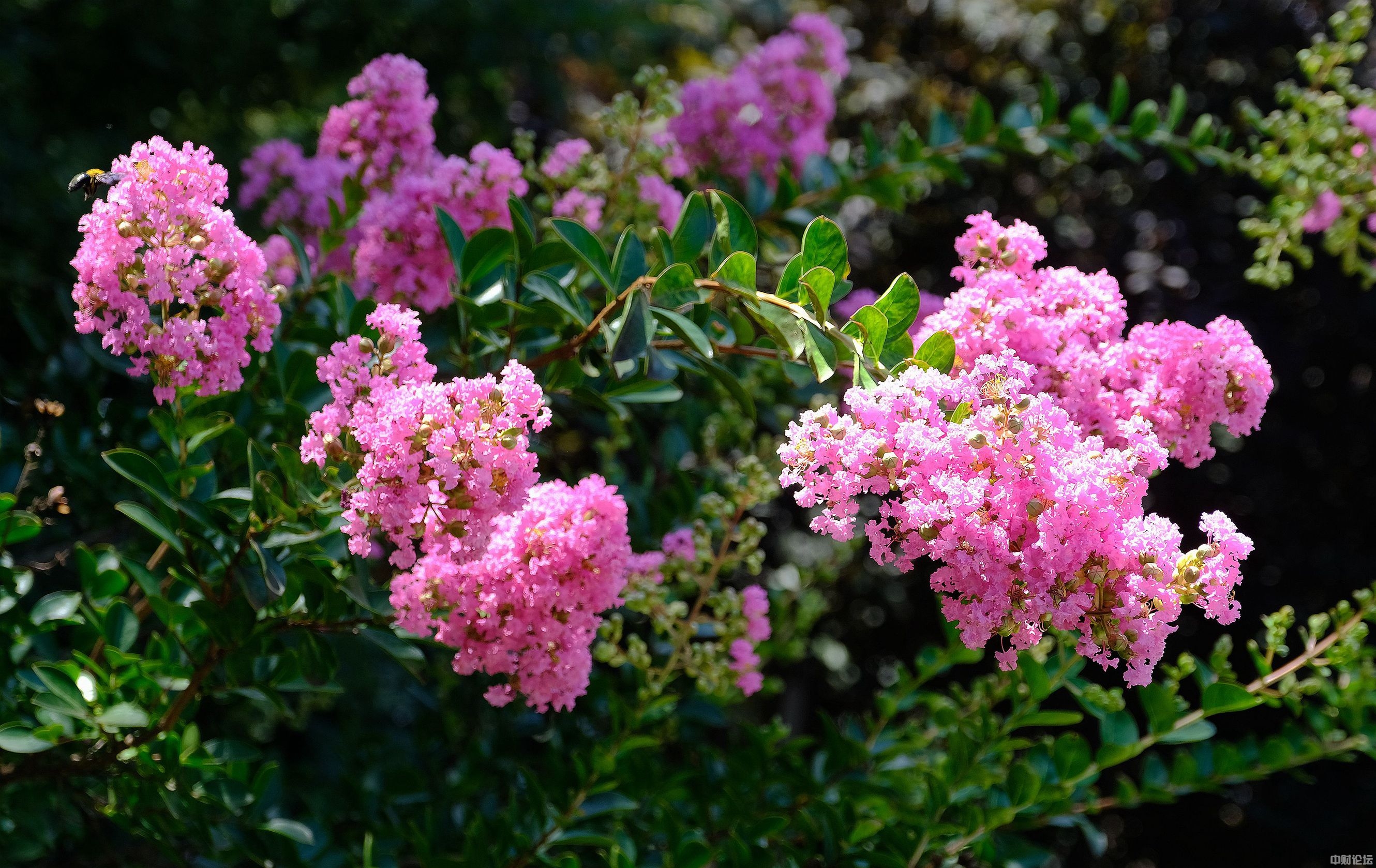 6682162858ec54f22d.jpg 6682162858ec54f22d.jpg