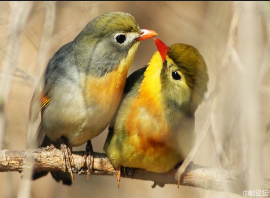 8920762a2929402f32.jpg 8920762a2929402f32.jpg