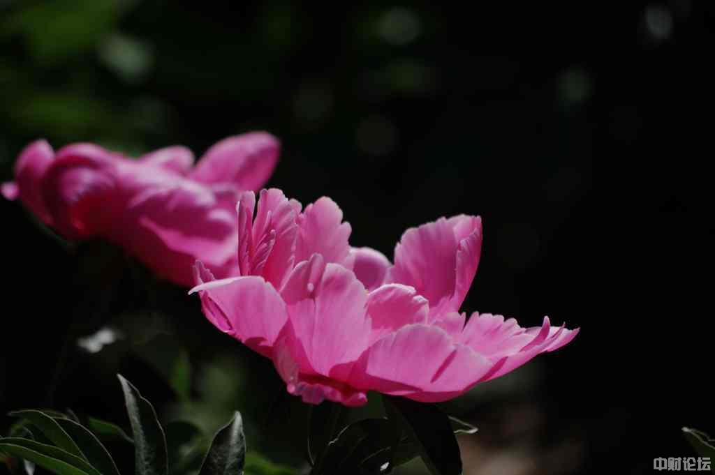 6746662aa7d9a2d0f4.jpg 6746662aa7d9a2d0f4.jpg