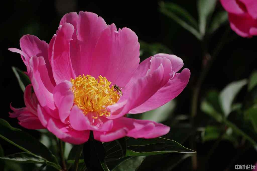 3181562abcb070cf76.jpg 3181562abcb070cf76.jpg