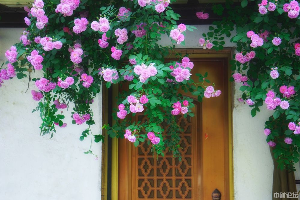 7762562b3b986f08cf.jpg 7762562b3b986f08cf.jpg