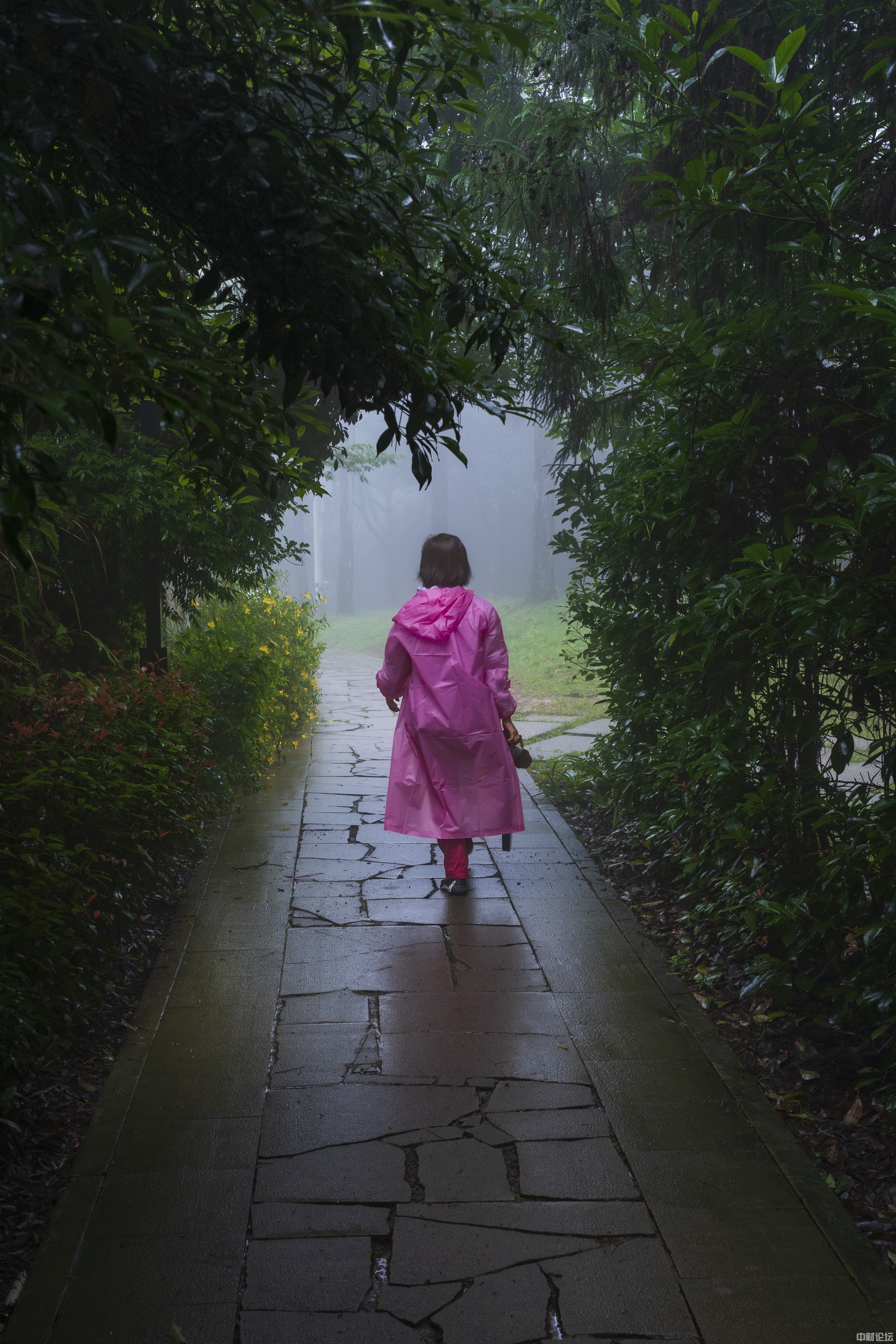 8894162bb9ce7dd136.jpg 8894162bb9ce7dd136.jpg