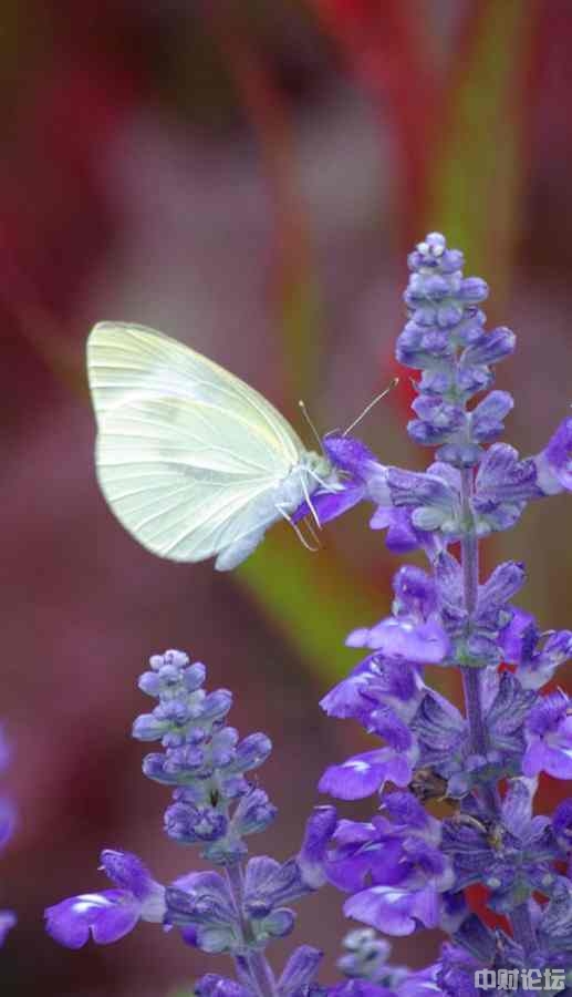 5003462bcf147ae750.jpg 5003462bcf147ae750.jpg