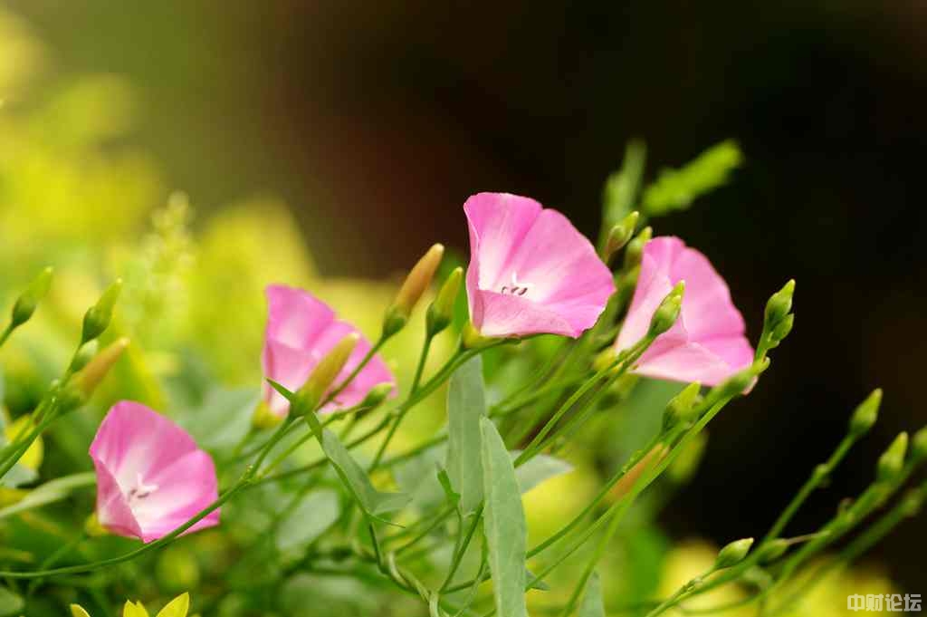 8512562c23b539842b.jpg 8512562c23b539842b.jpg