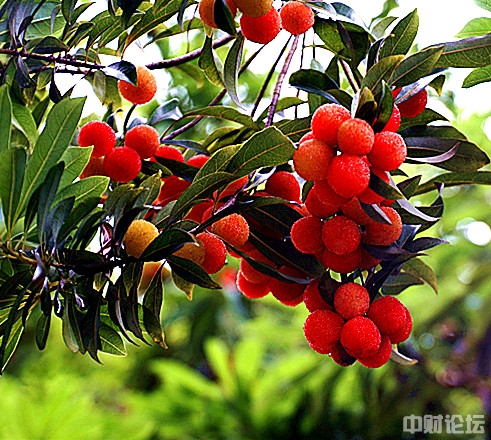 4951962c6316d2c4ea.jpg 4951962c6316d2c4ea.jpg