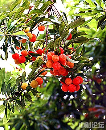 2804362c77ba285f83.jpg 2804362c77ba285f83.jpg