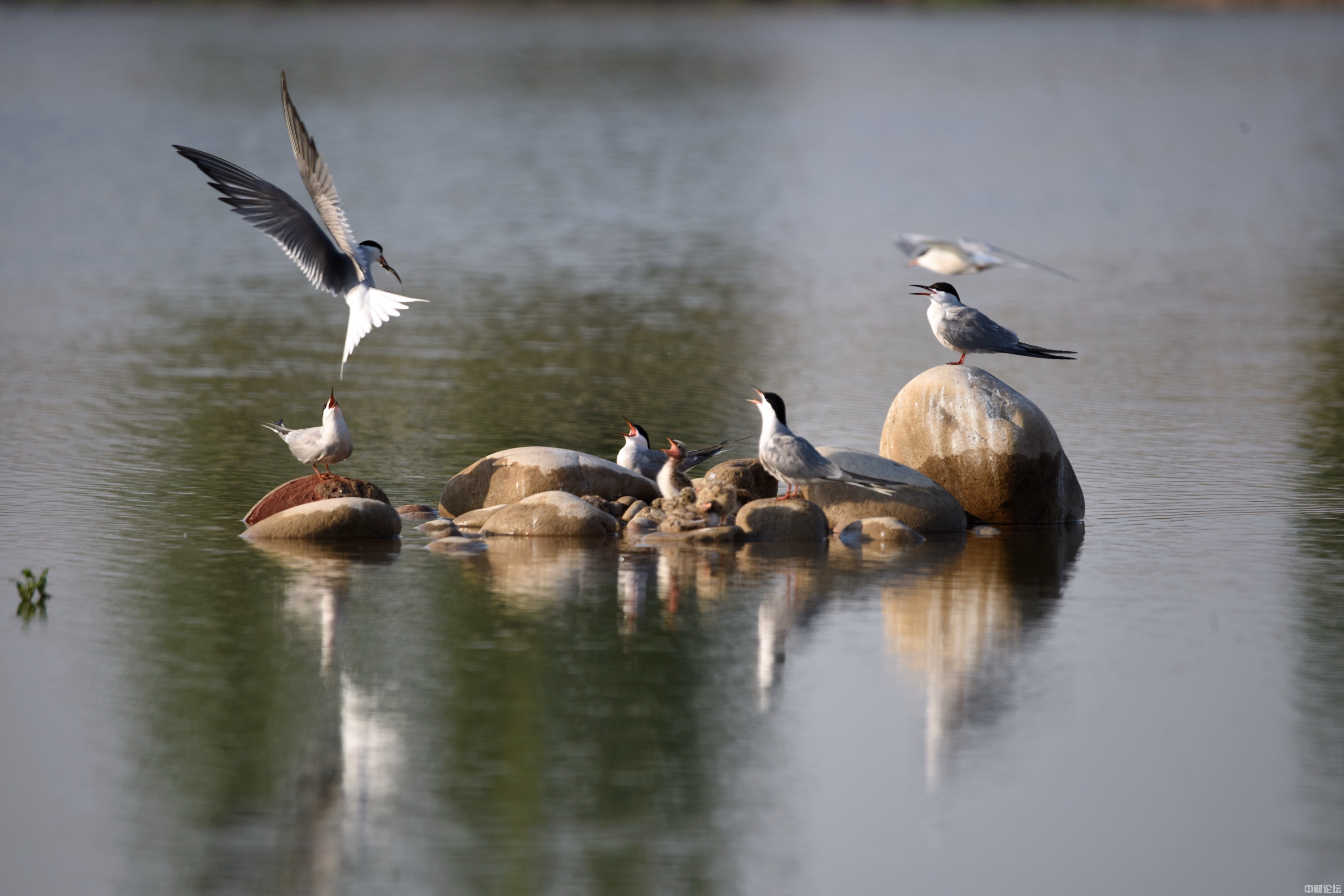 7260362cf65d03835f.jpg 7260362cf65d03835f.jpg