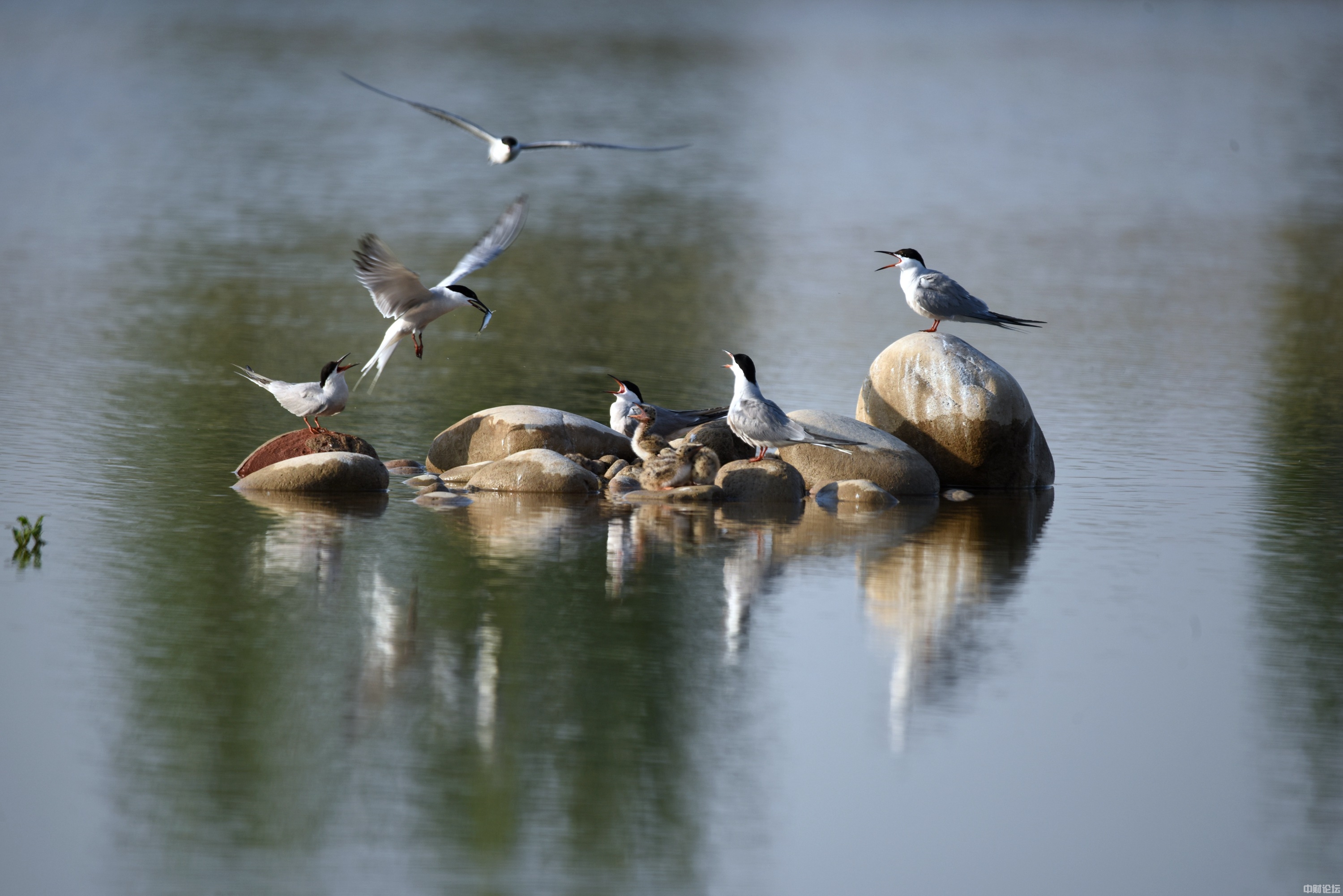 9299162cf64e9ac174.jpg 9299162cf64e9ac174.jpg