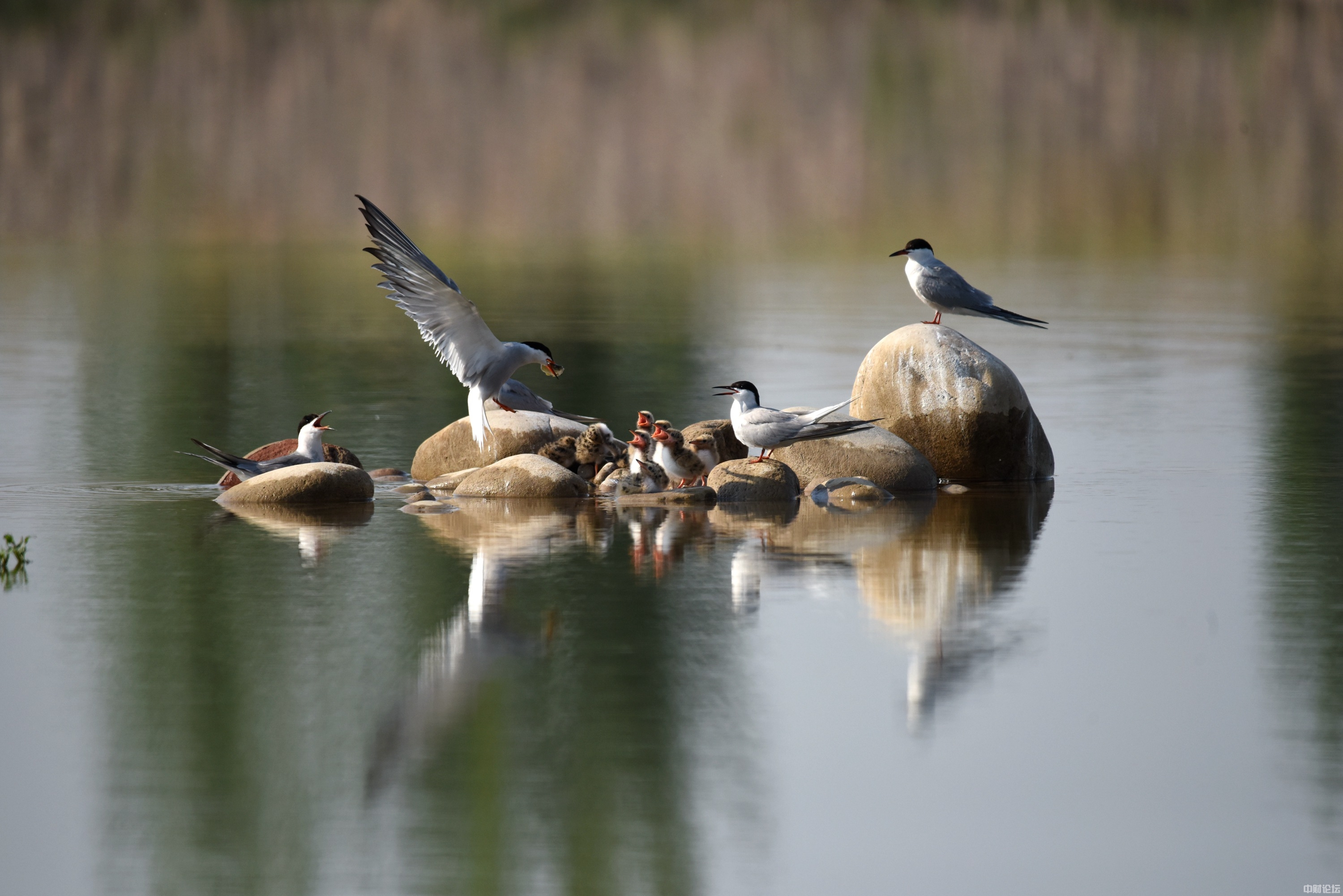 7525062d0ba9e0b8ed.jpg 7525062d0ba9e0b8ed.jpg