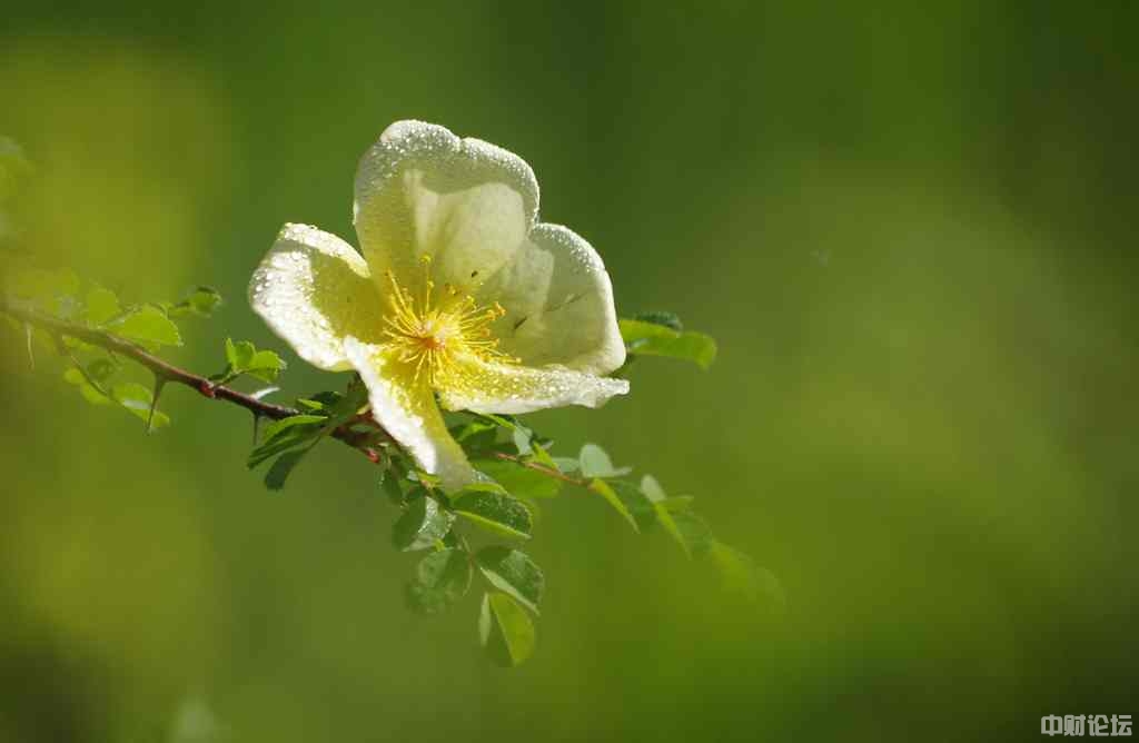 7016662d4c23f0997a.jpg 7016662d4c23f0997a.jpg