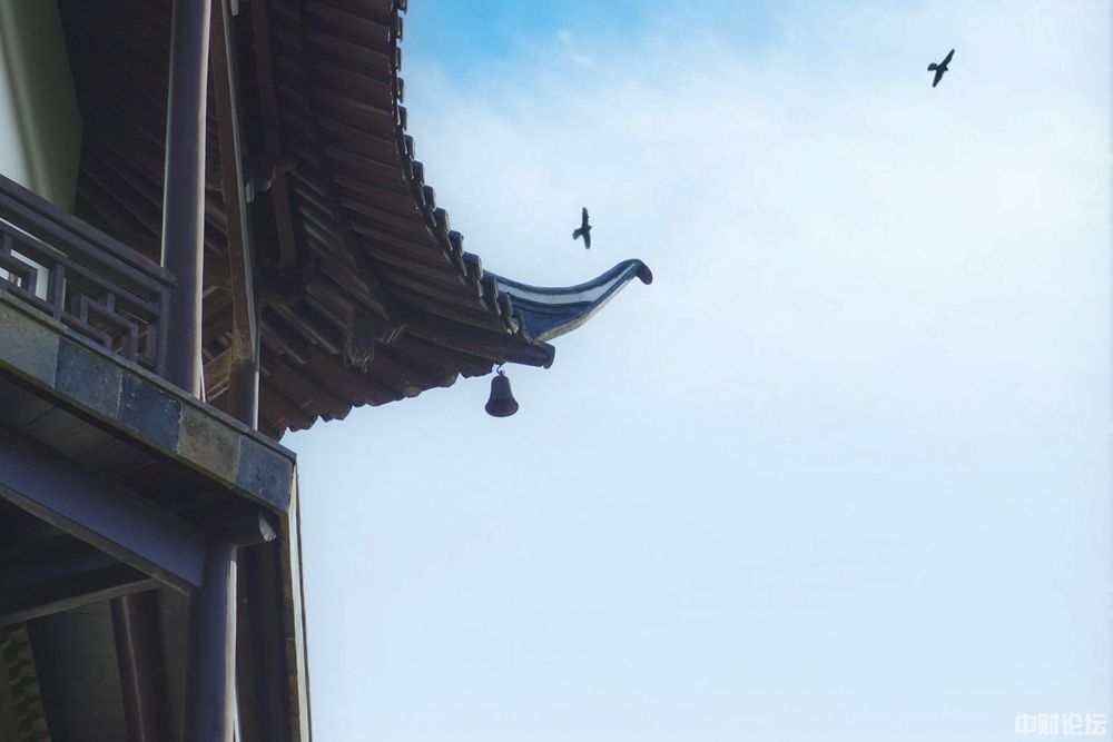 4358162d79721ecdc0.jpg 4358162d79721ecdc0.jpg