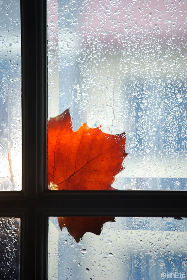 3222562dde62de808a.jpg 3222562dde62de808a.jpg