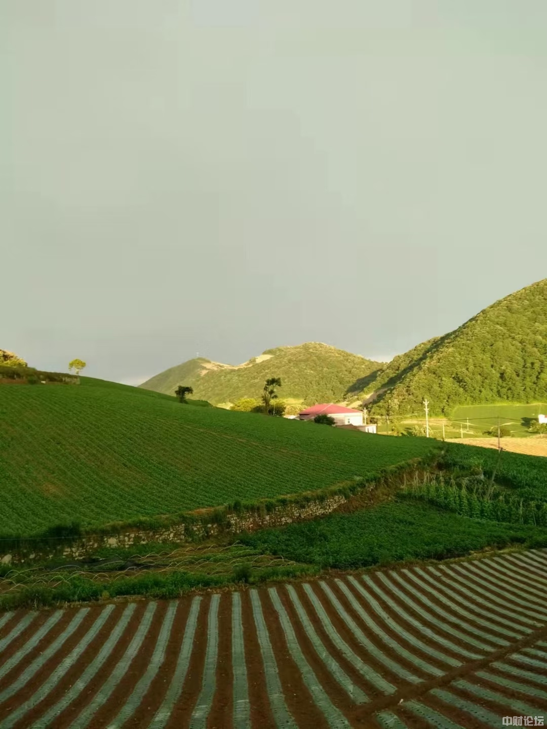 9084062e0aff95eafc.jpg 9084062e0aff95eafc.jpg