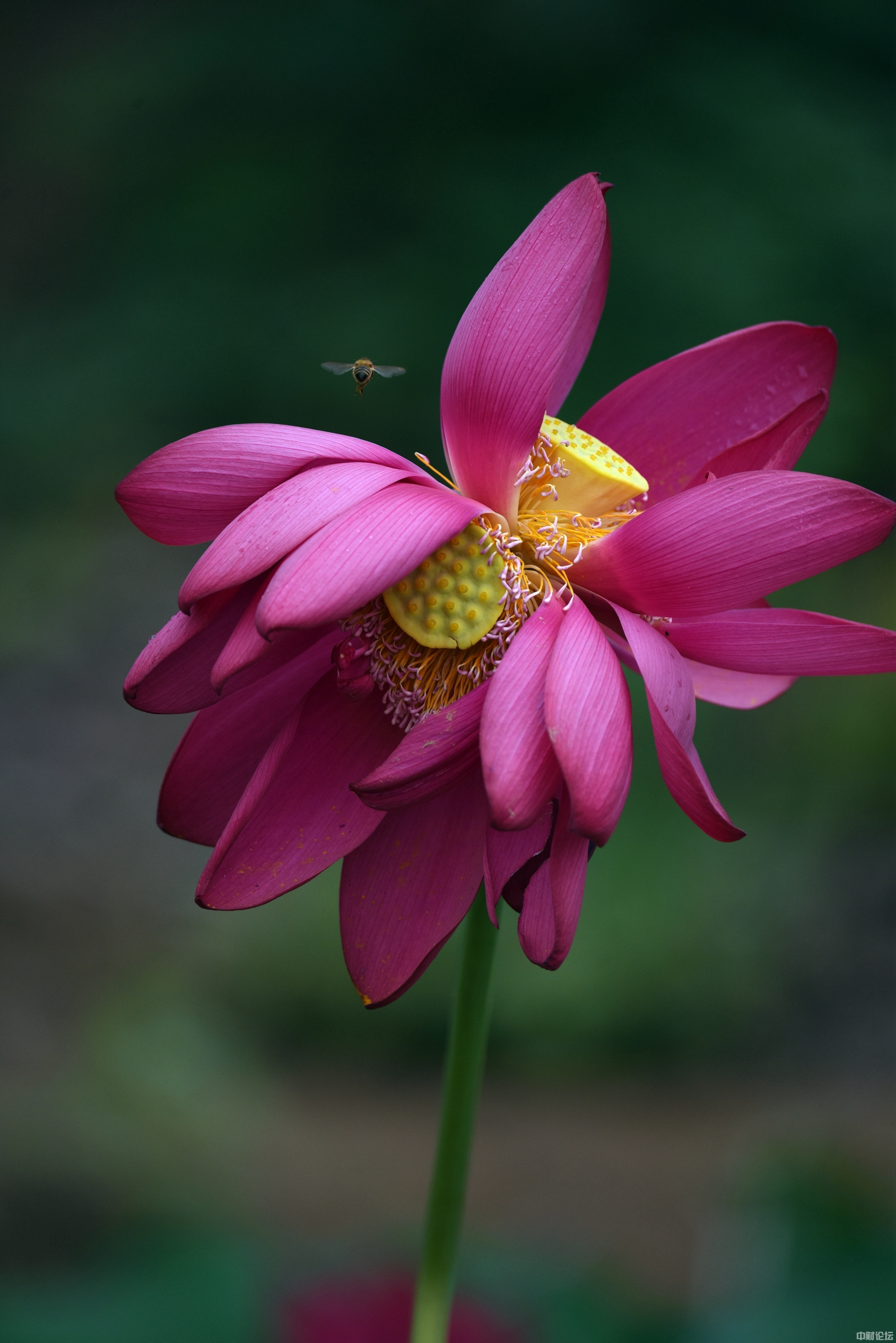 2933262e1da2373ed5.jpg 2933262e1da2373ed5.jpg