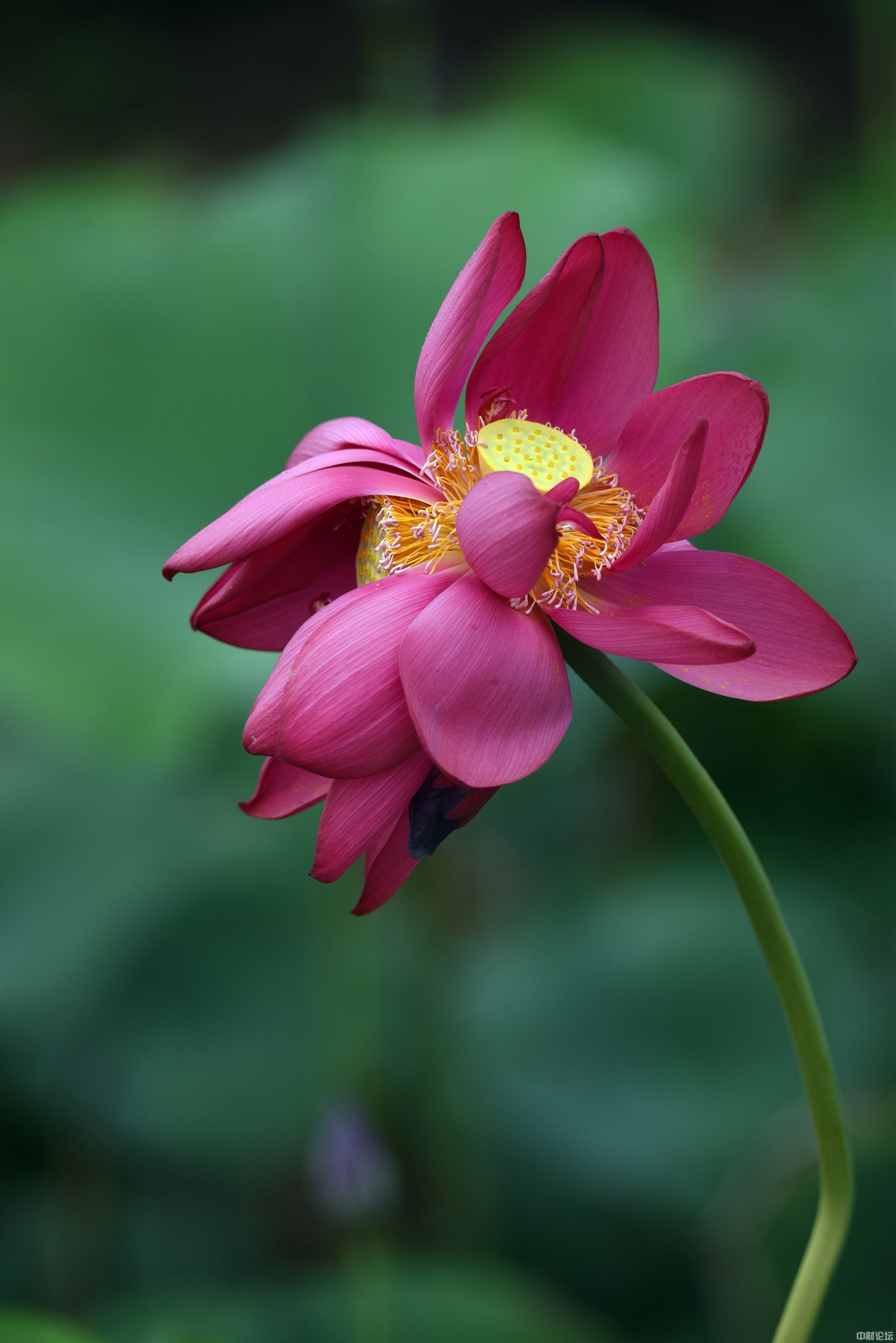 7700462e72f05994b4.jpg 7700462e72f05994b4.jpg