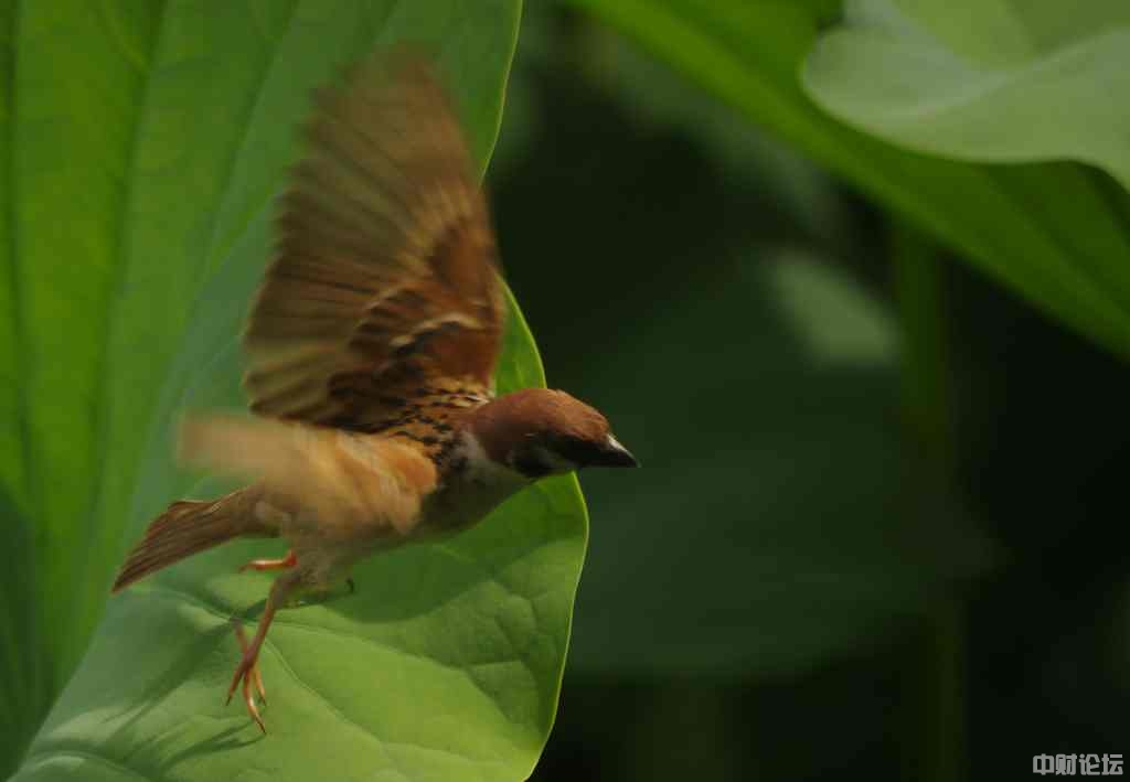 9715262e87423cc0da.jpg 9715262e87423cc0da.jpg