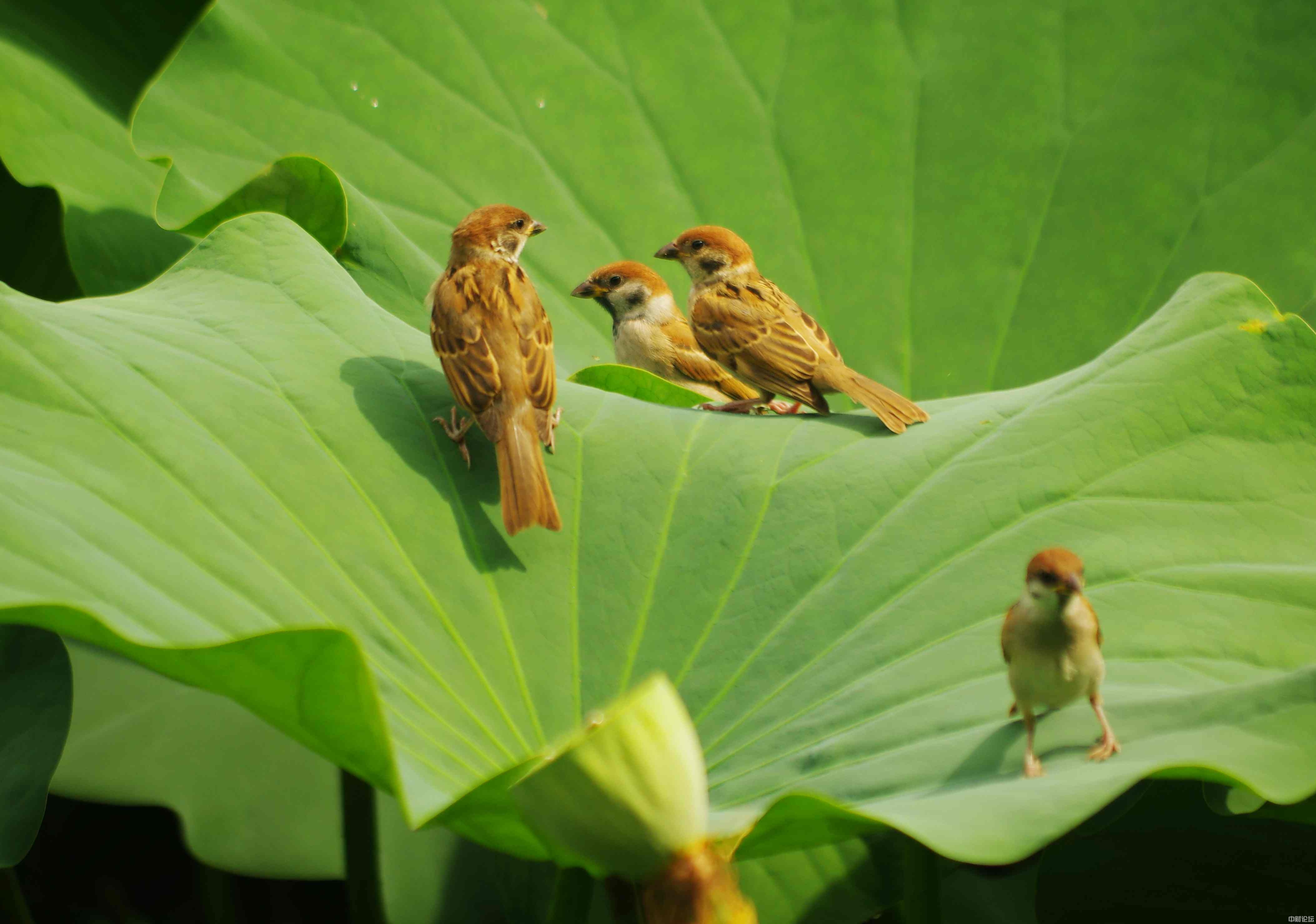 8469262e9c24681609.jpg 8469262e9c24681609.jpg