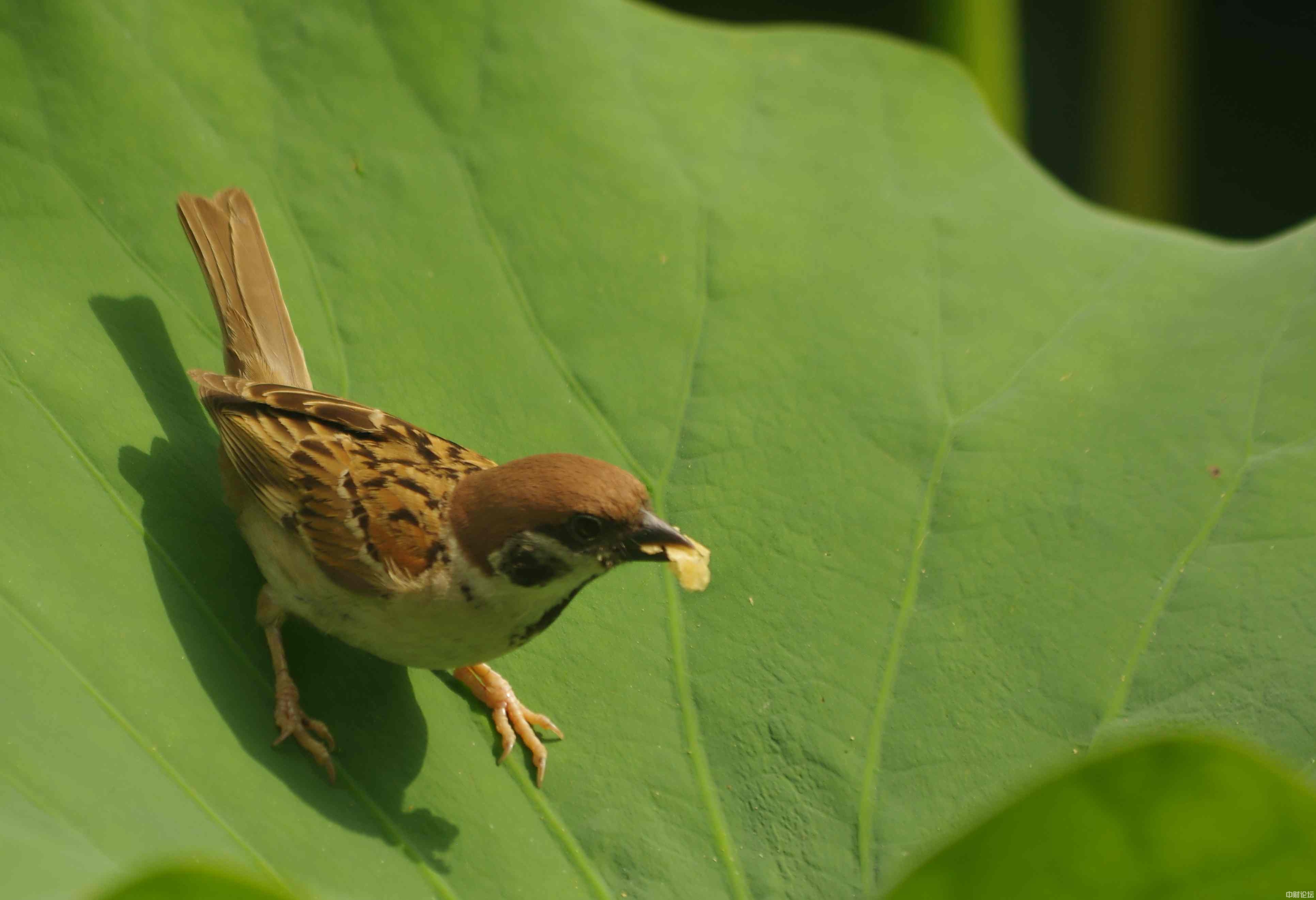 7234662eb14902e50d.jpg 7234662eb14902e50d.jpg