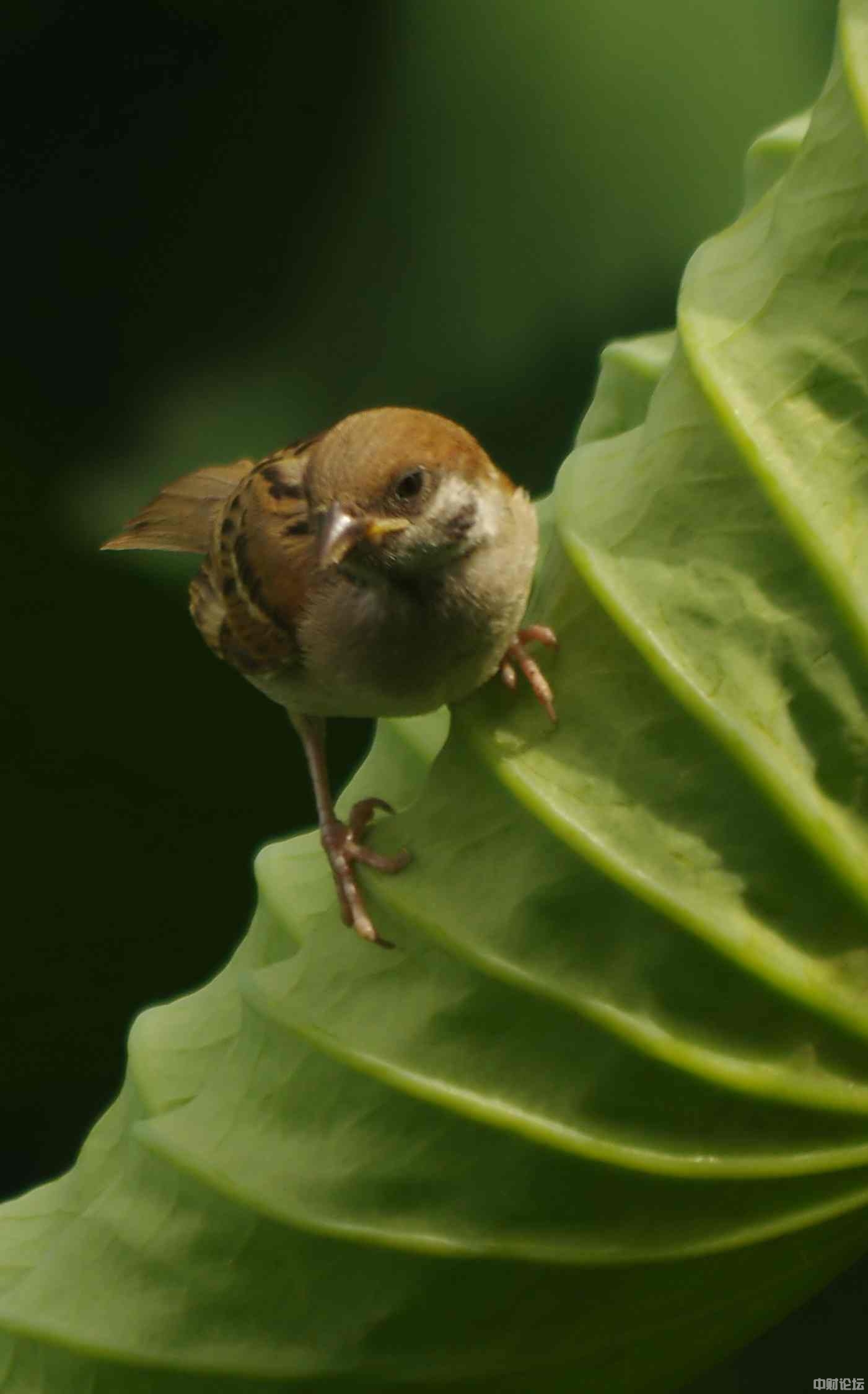 9697062f05b5e7f6be.jpg 9697062f05b5e7f6be.jpg