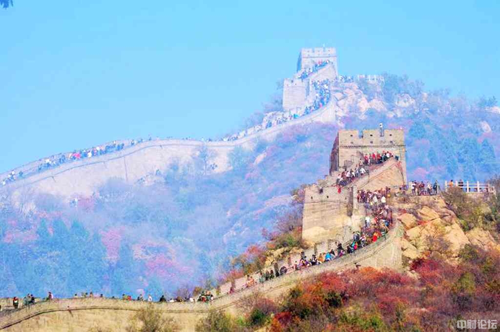 8950462f44ea40550d.jpg 8950462f44ea40550d.jpg