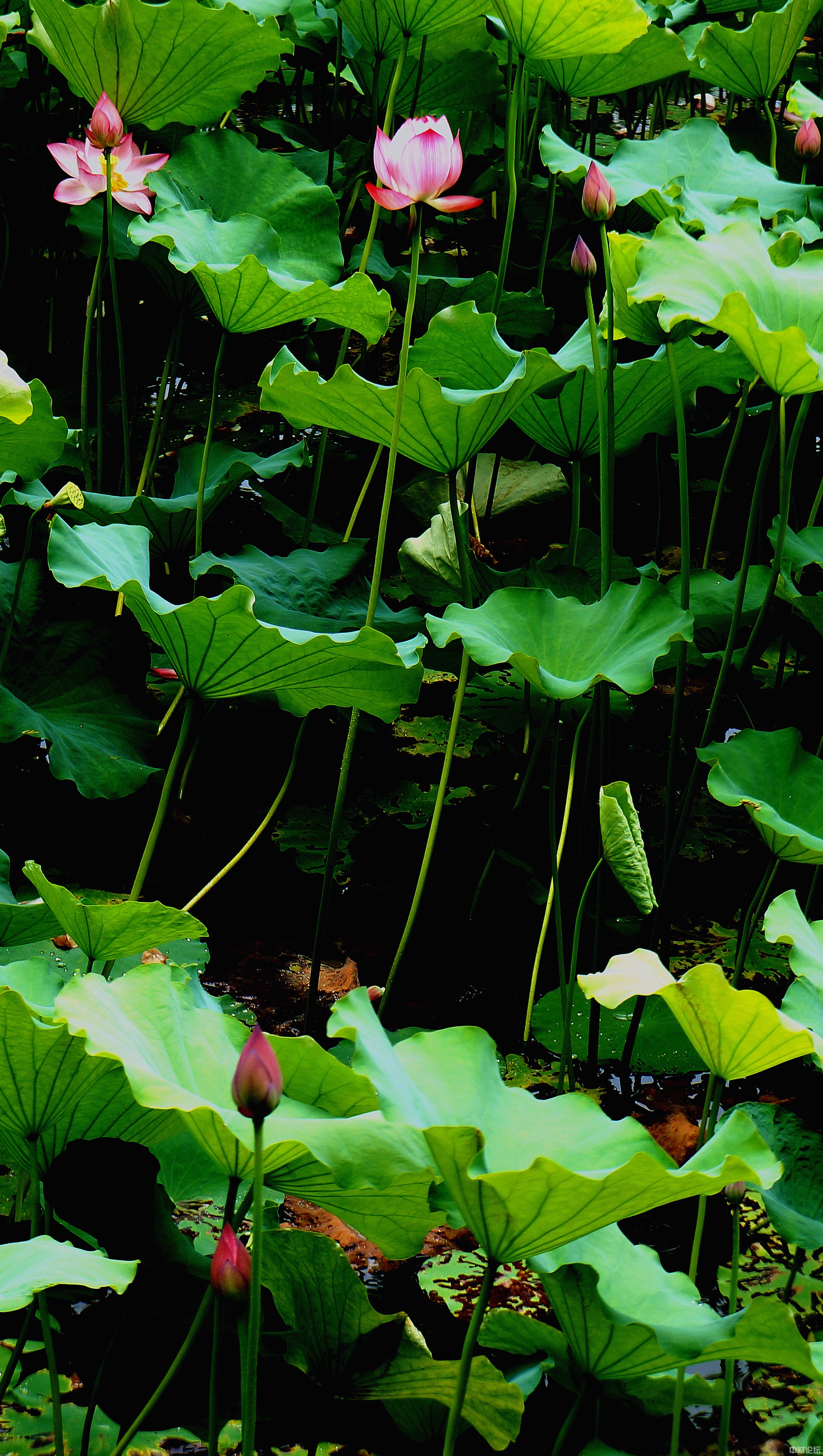 7595062faf4467e32a.jpg 7595062faf4467e32a.jpg