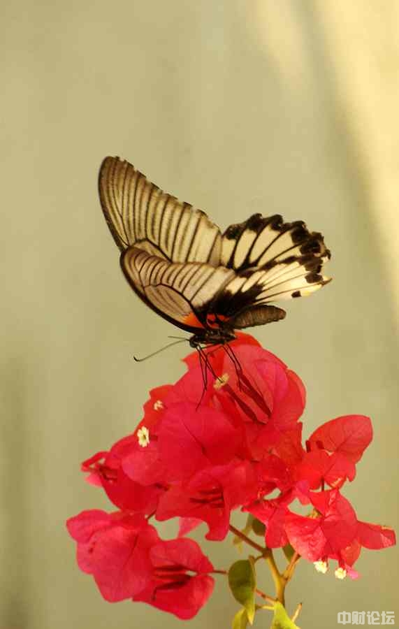 59627630ffdcada203.jpg 59627630ffdcada203.jpg