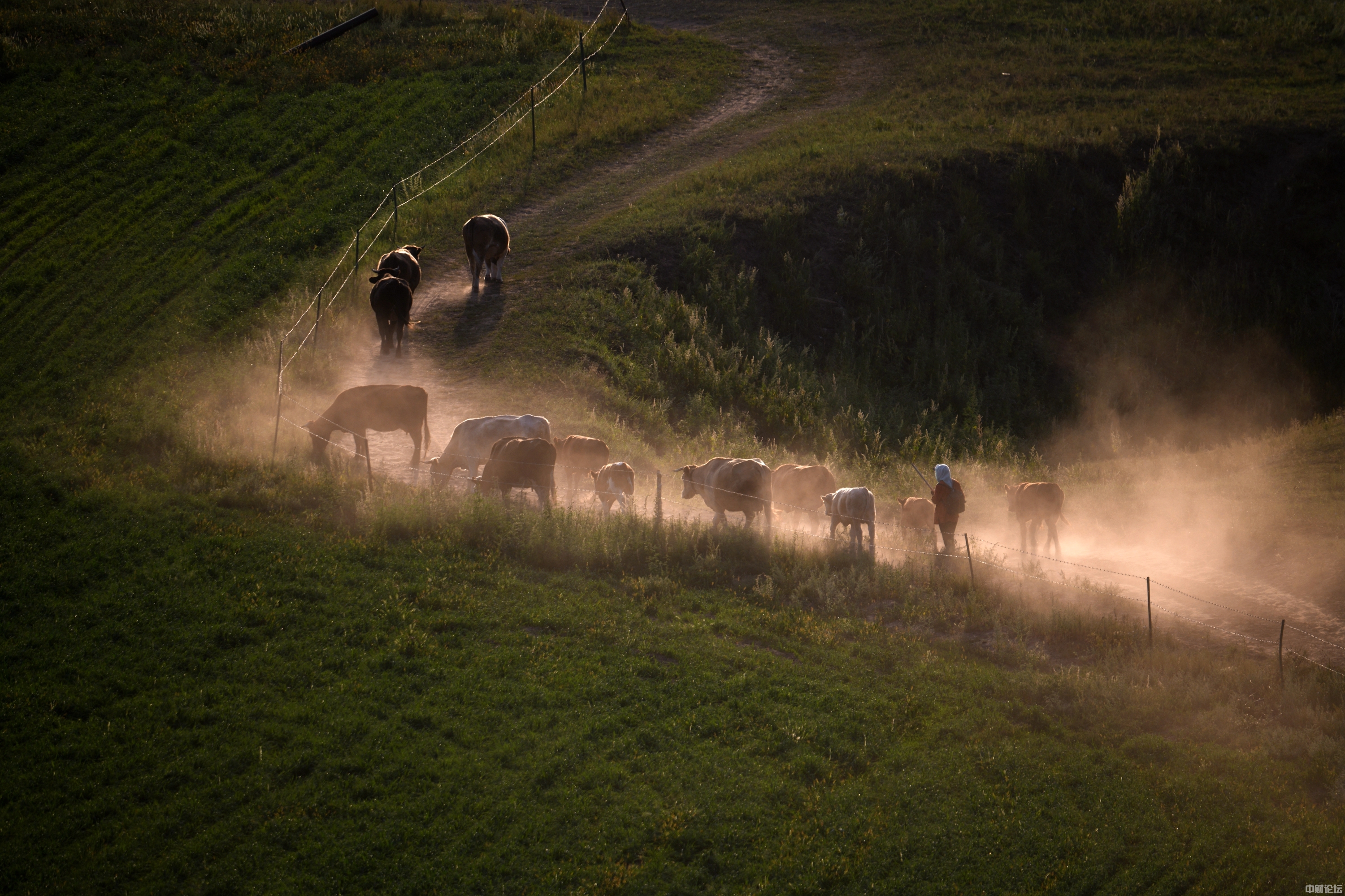 616396311538c233d3.jpg 616396311538c233d3.jpg