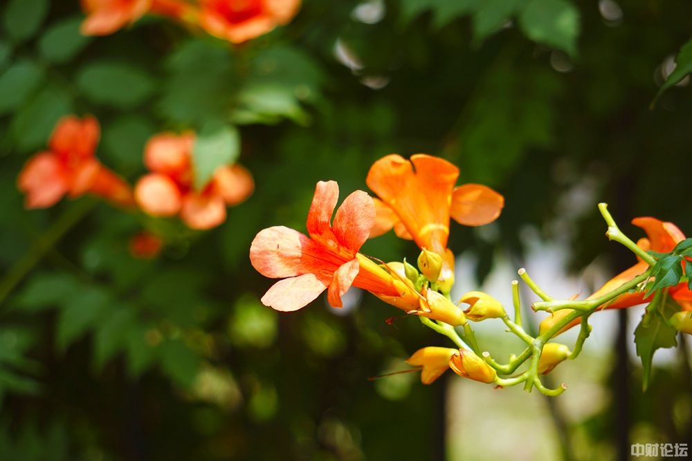 936156332471a6ecdf.jpg 936156332471a6ecdf.jpg