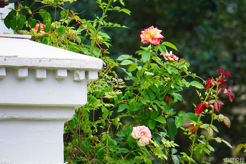 899436333abb7b6931.jpg 899436333abb7b6931.jpg