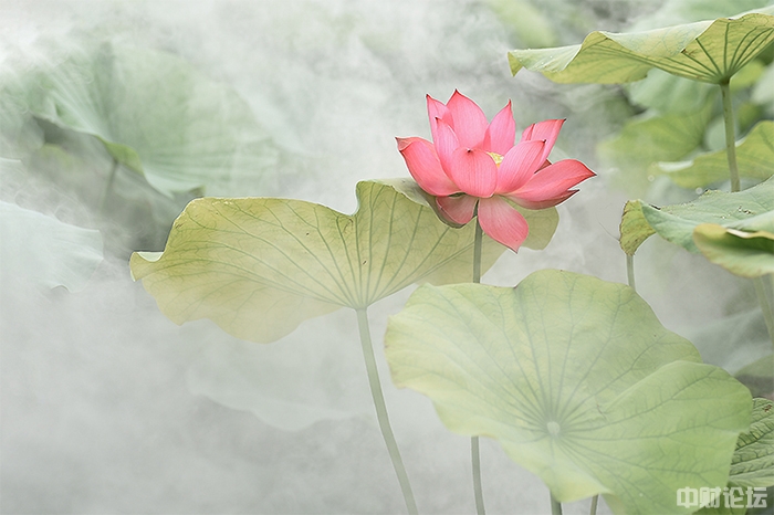 71699633646bb5945b.jpg 71699633646bb5945b.jpg