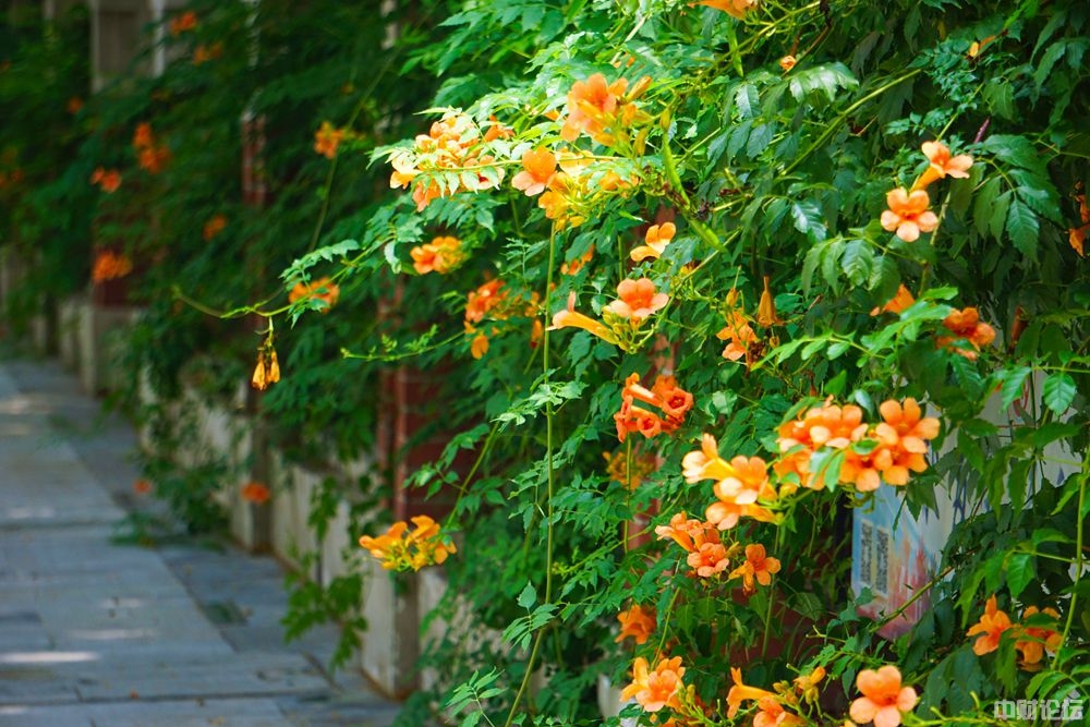 976136336454e42deb.jpg 976136336454e42deb.jpg