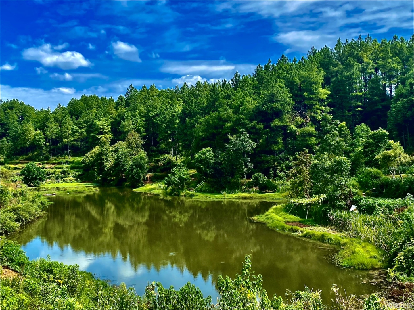 307406343843e3094c.jpeg 307406343843e3094c.jpeg