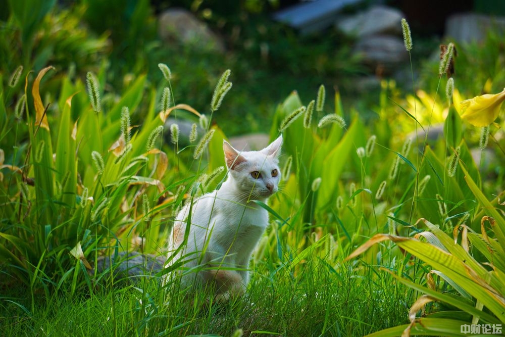 1862163460b9e18988.jpg 1862163460b9e18988.jpg